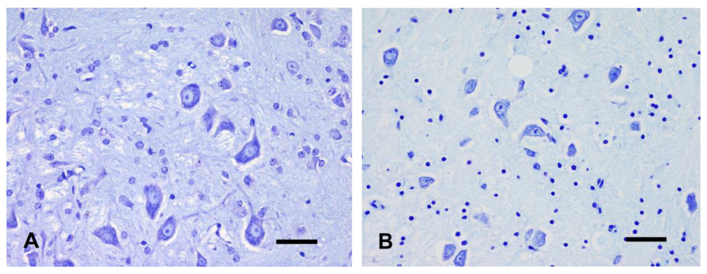 Animals 14 03676 g002a