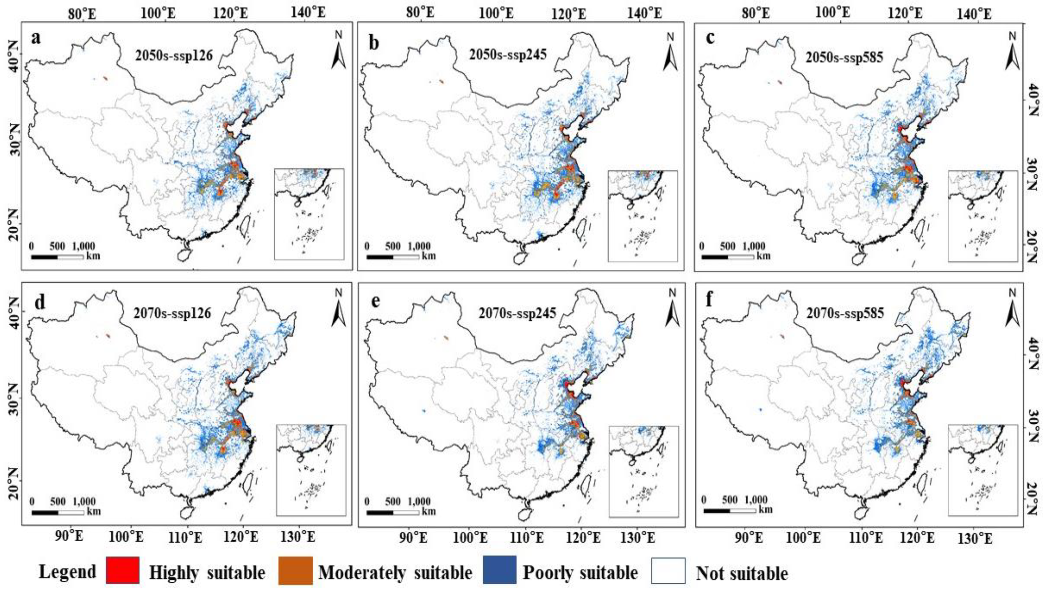 Animals 15 00006 g005