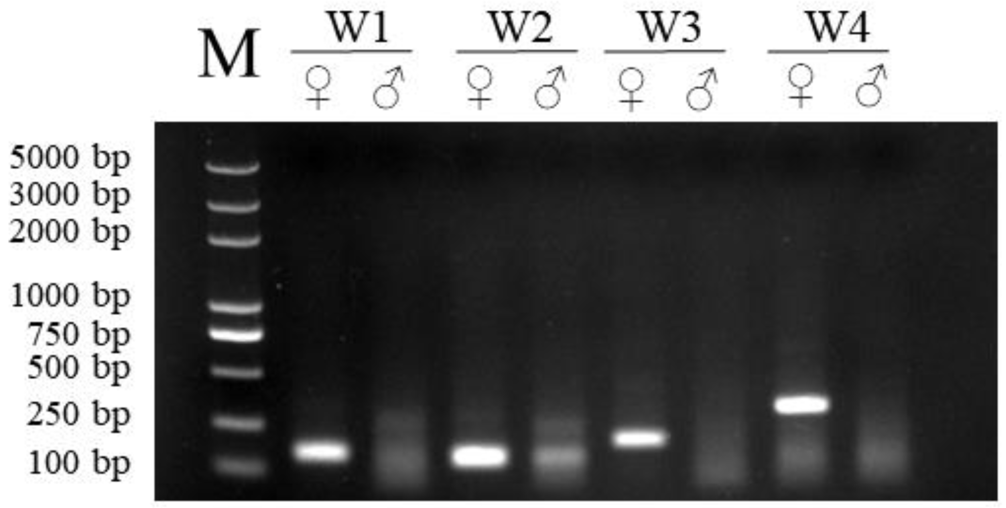 Animals 15 00007 g002