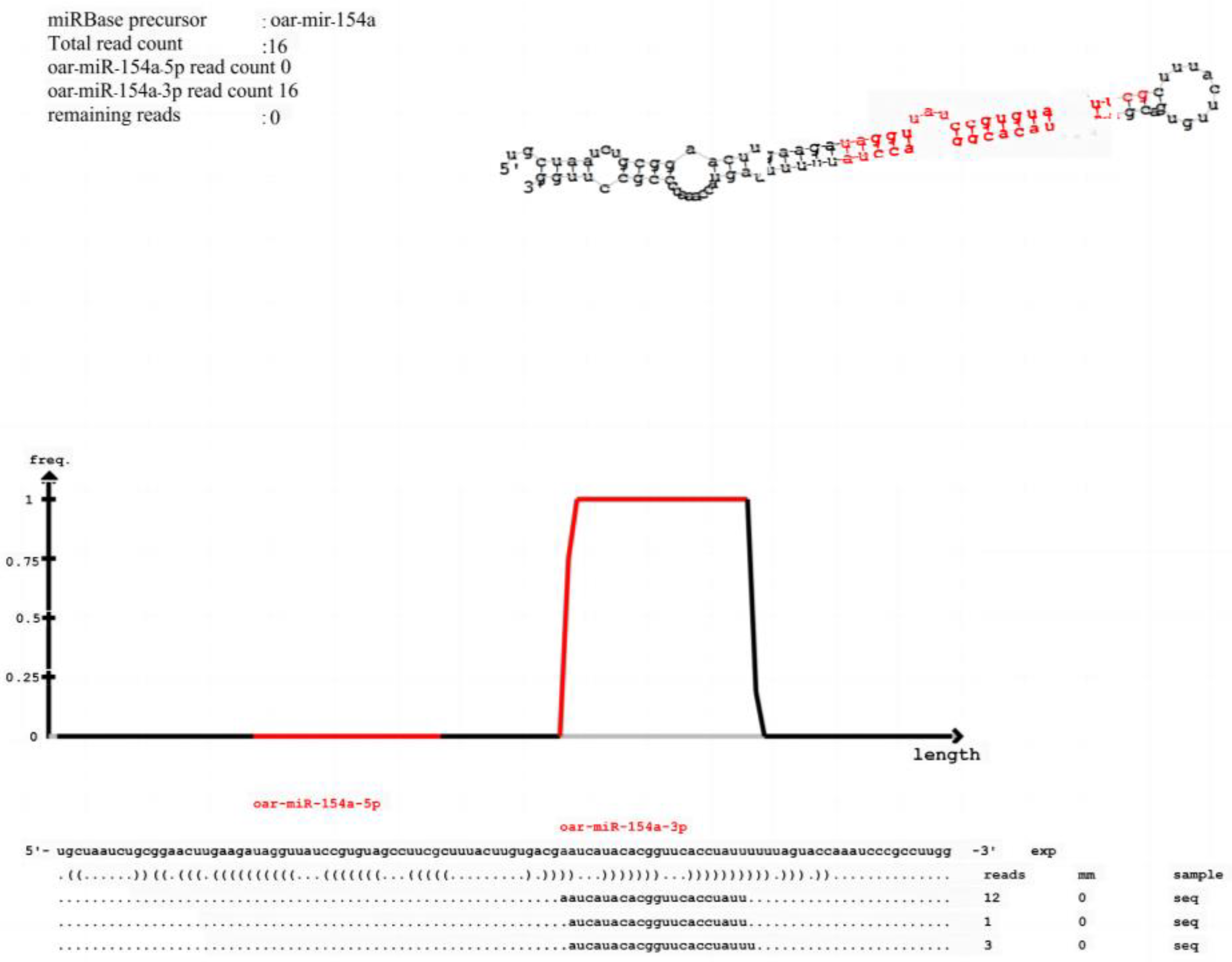 Animals 15 00011 g002