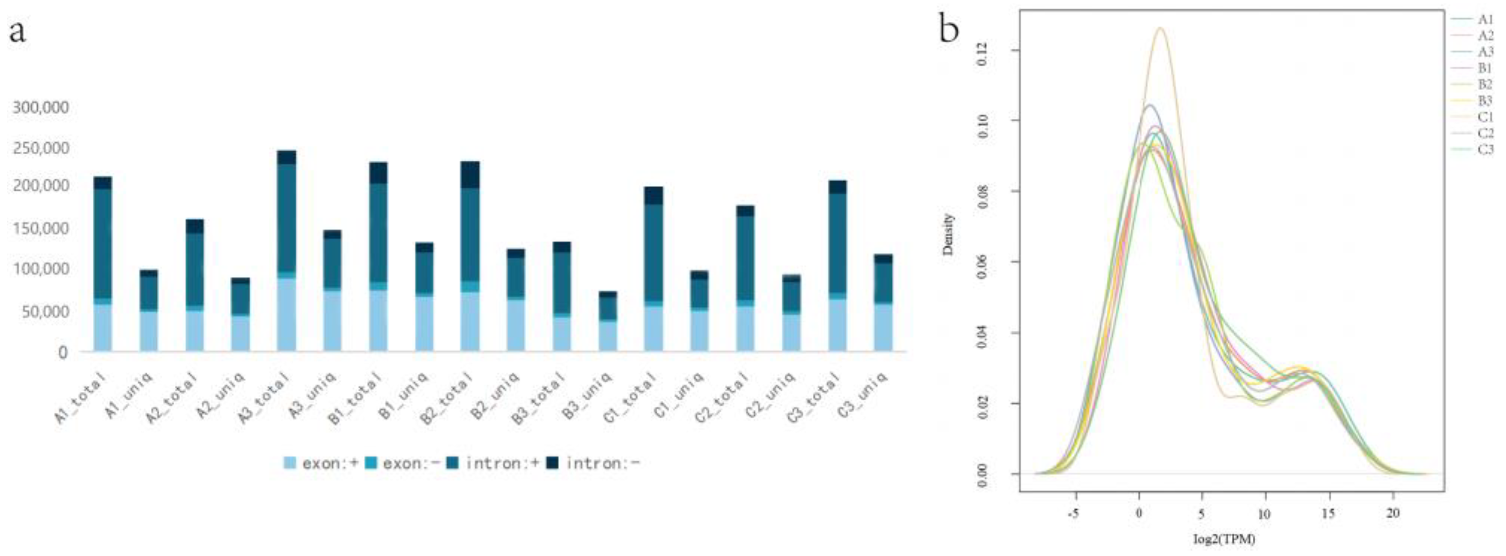 Animals 15 00011 g004