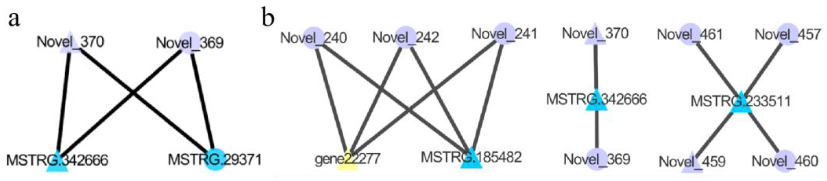 Animals 15 00011 g007