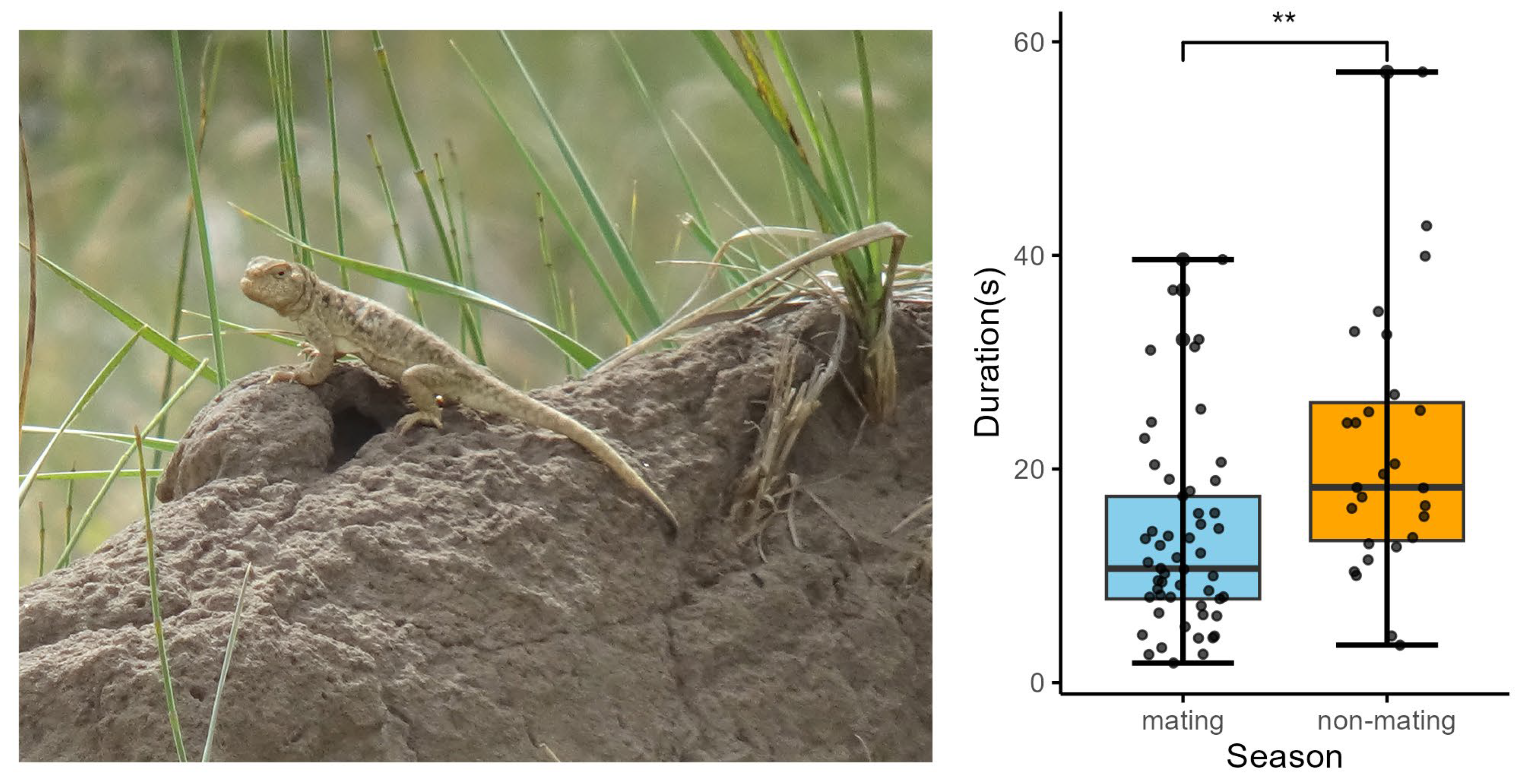 Animals 15 00038 g002