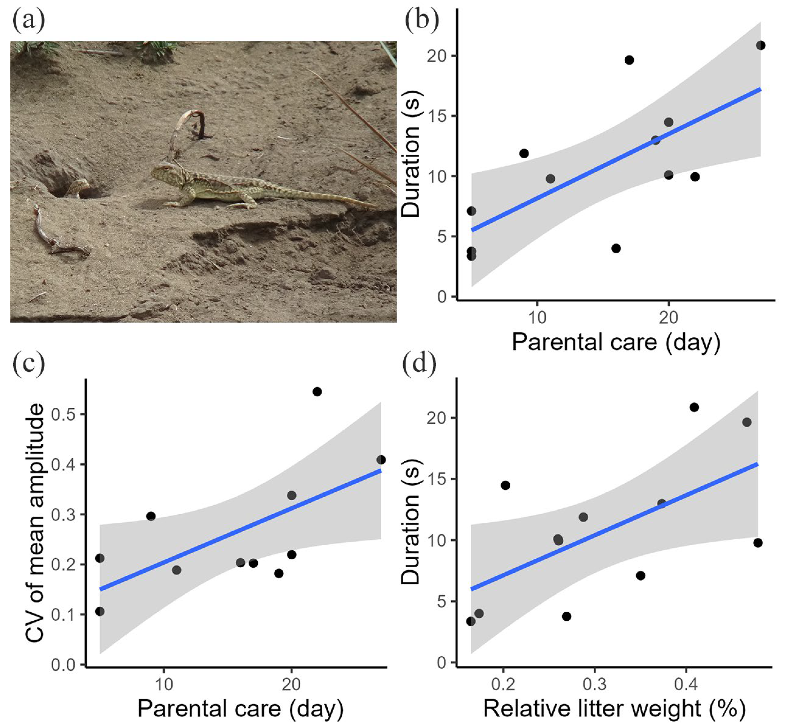 Animals 15 00038 g003