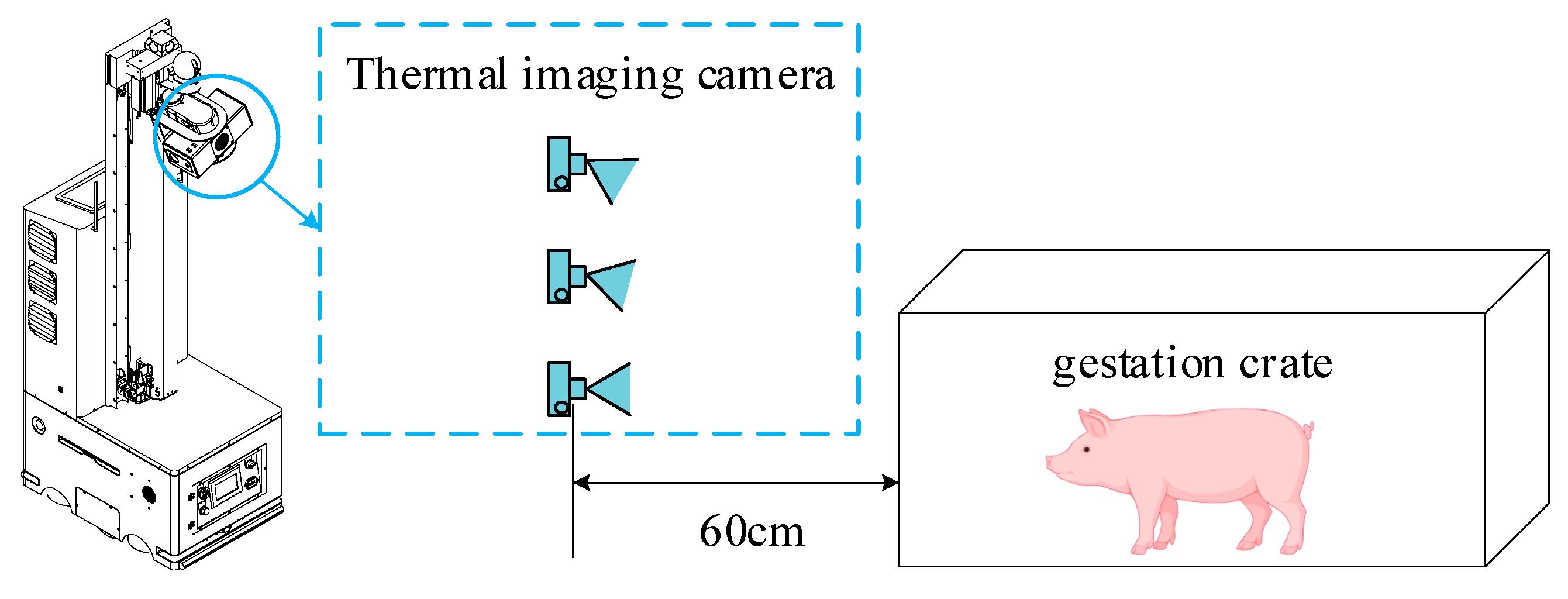 Animals 15 00041 g002