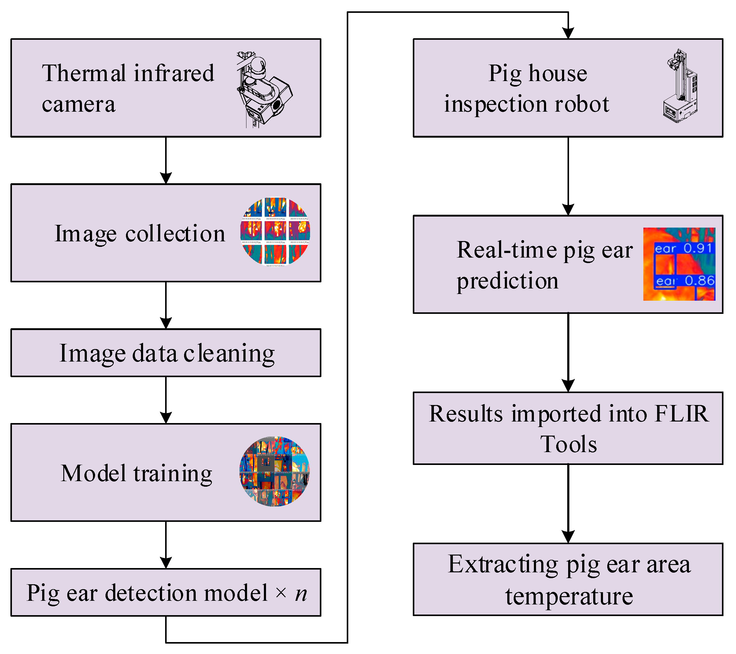 Animals 15 00041 g003