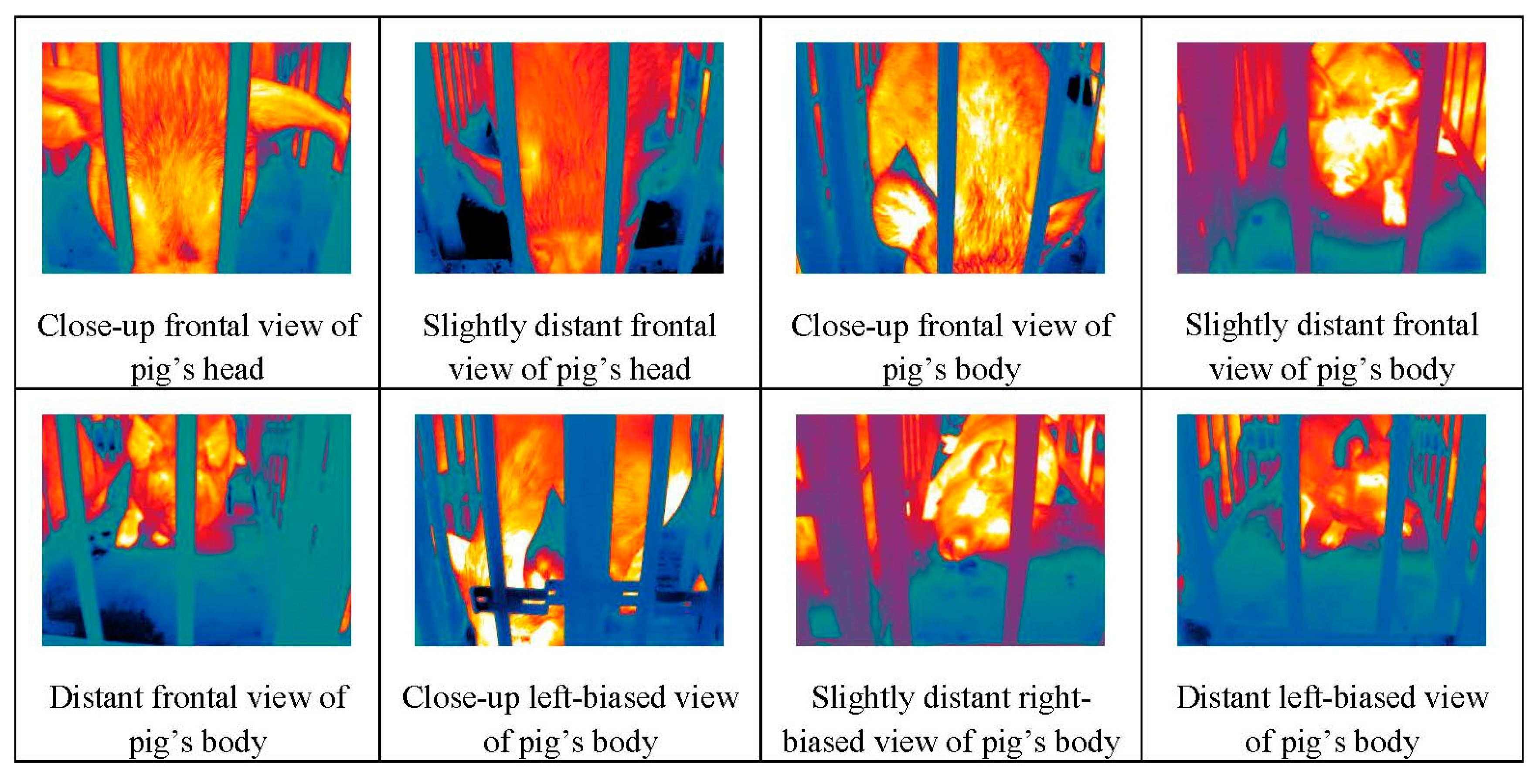 Animals 15 00041 g004