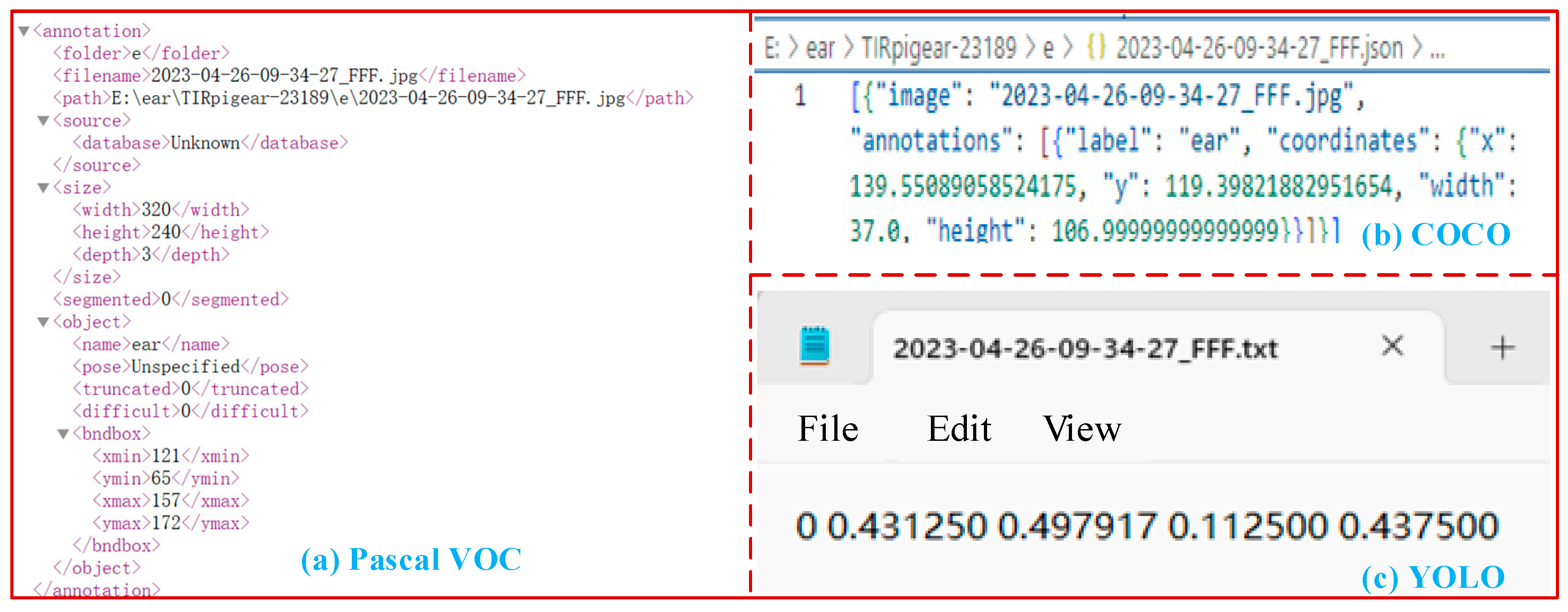 Animals 15 00041 g005