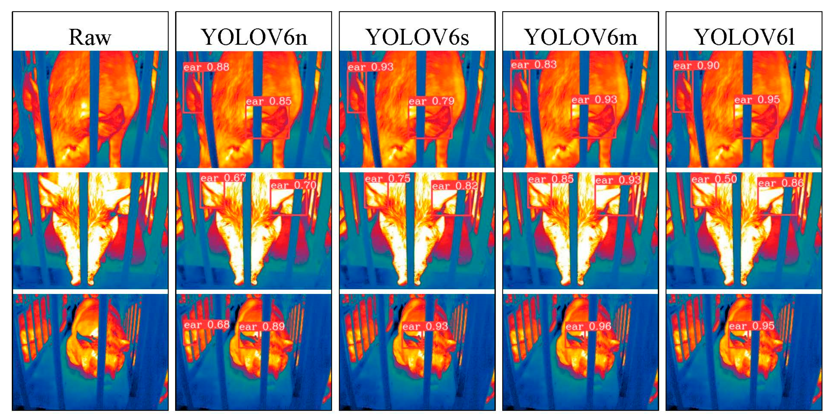 Animals 15 00041 g024