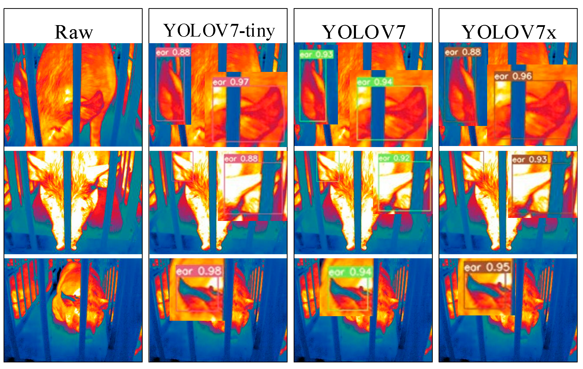 Animals 15 00041 g025