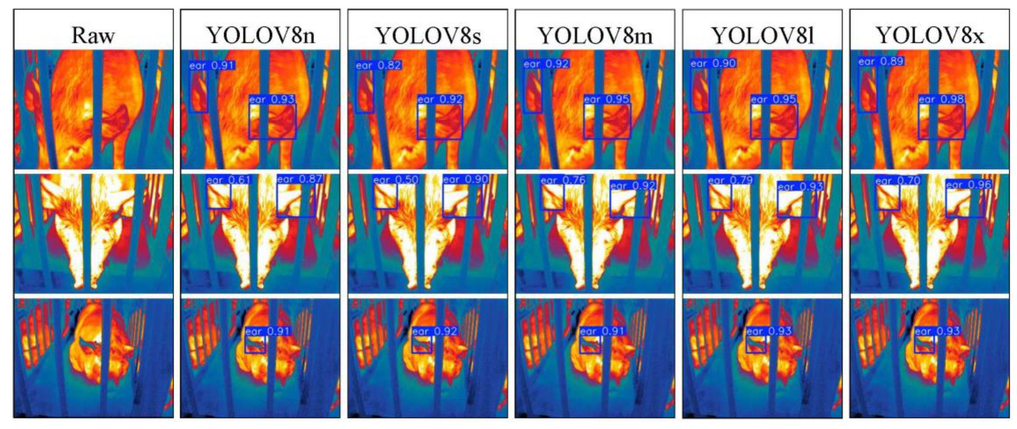 Animals 15 00041 g026
