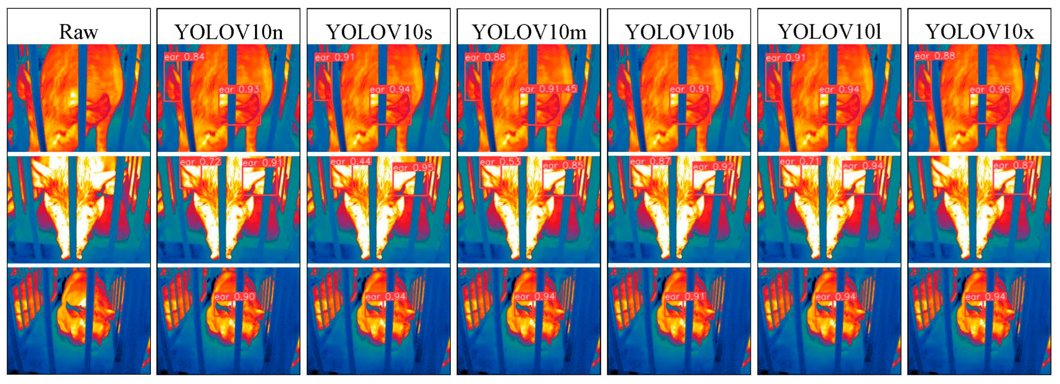 Animals 15 00041 g029