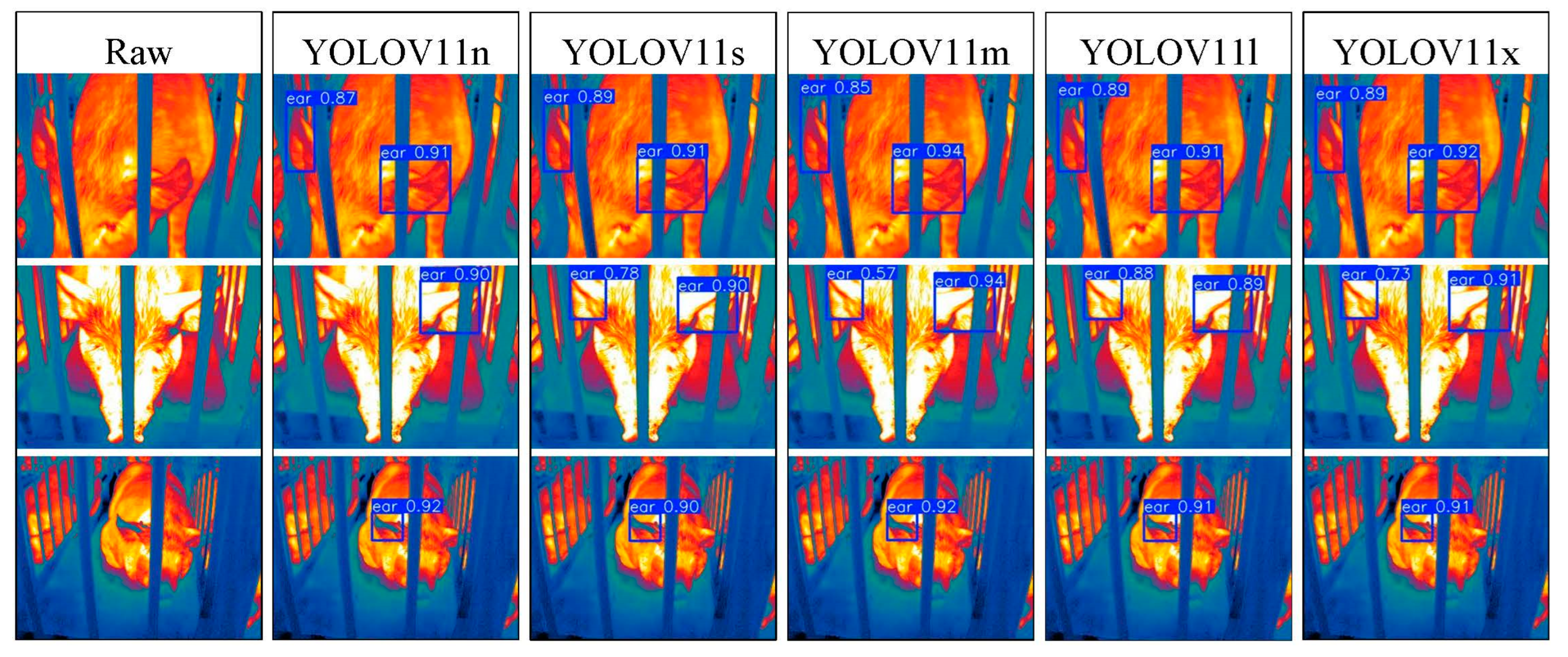 Animals 15 00041 g030