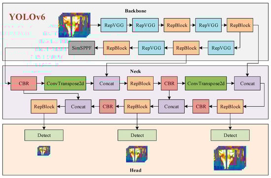 Animals 15 00041 g0a2