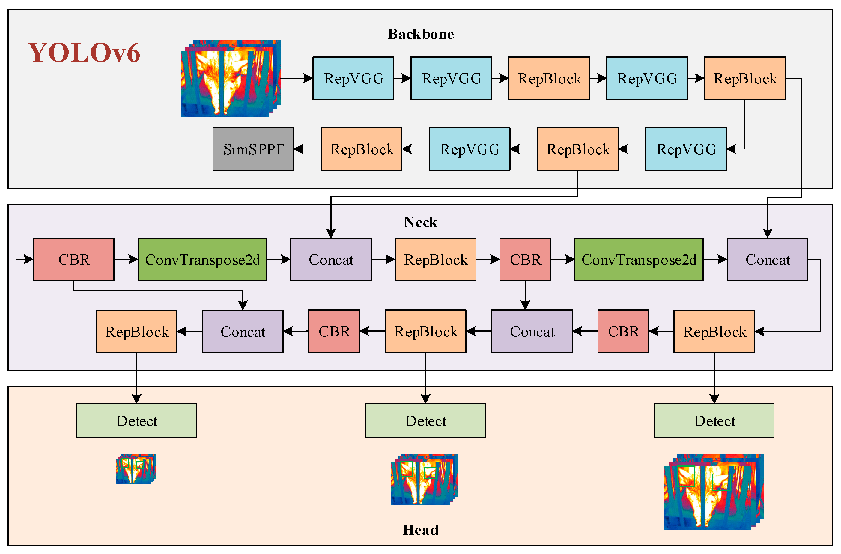 Animals 15 00041 g0a2