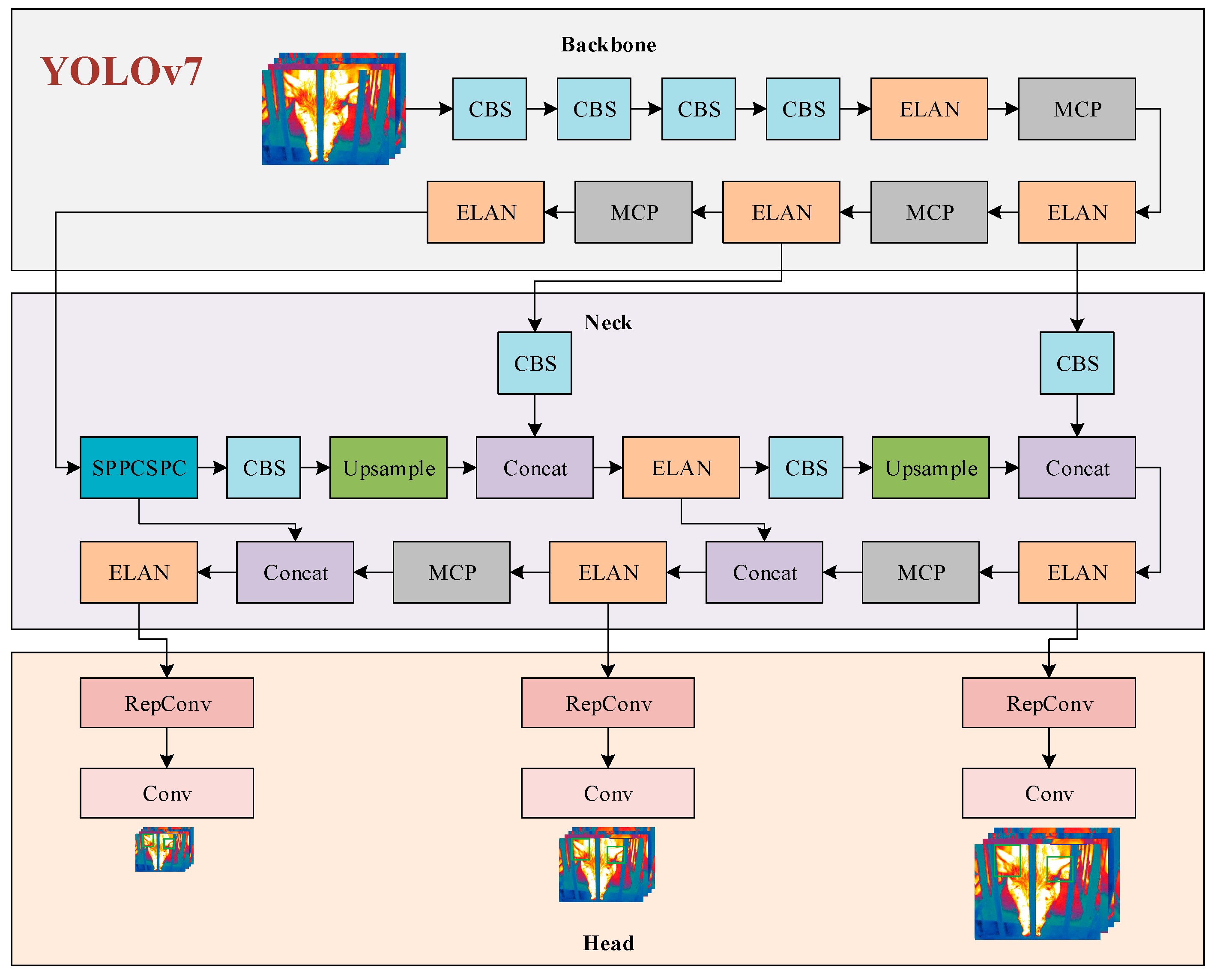 Animals 15 00041 g0a3