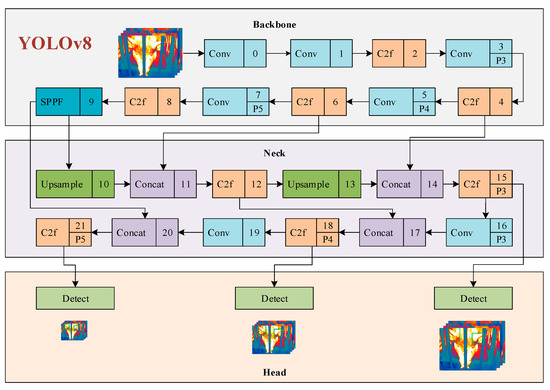 Animals 15 00041 g0a4