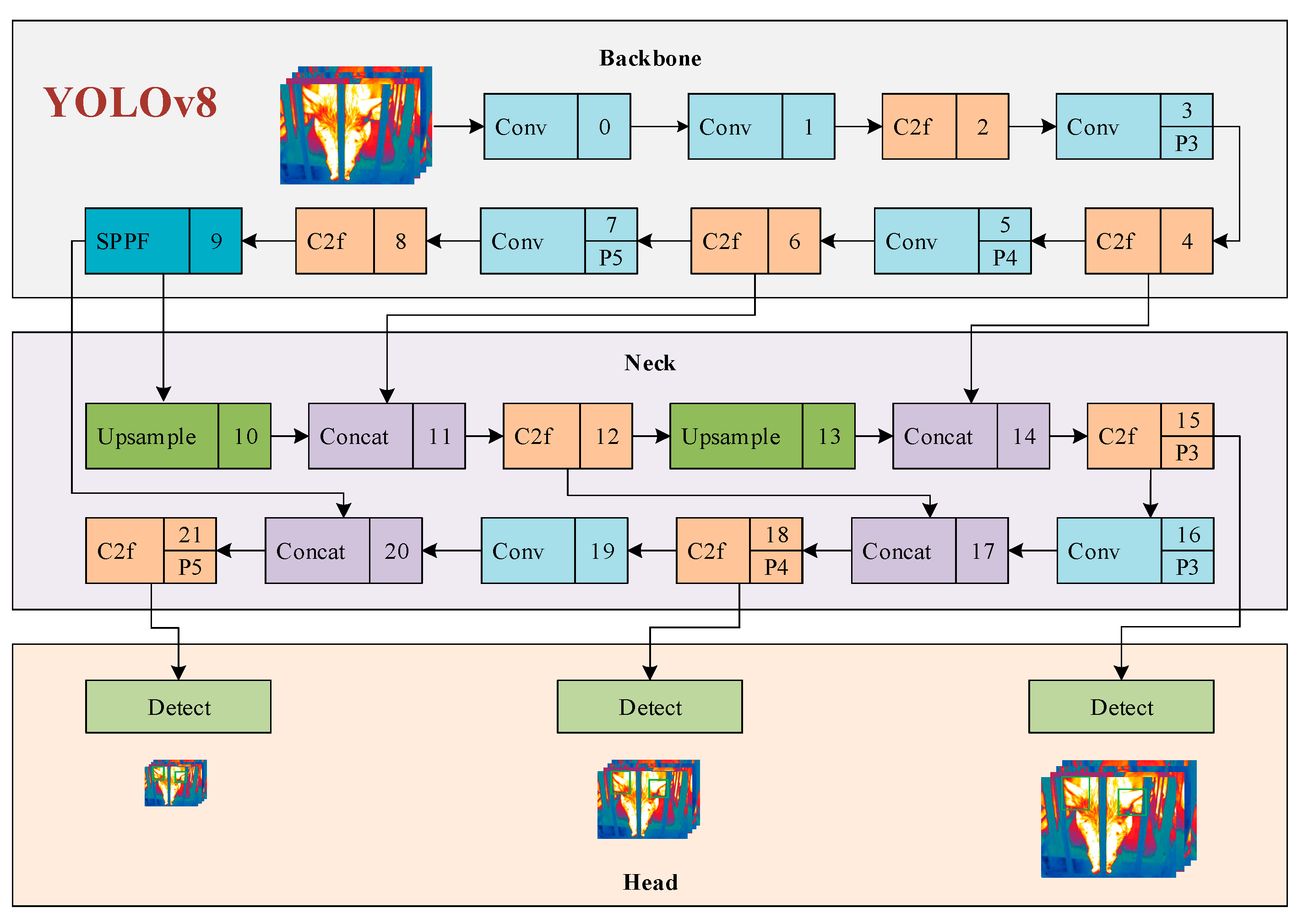 Animals 15 00041 g0a4