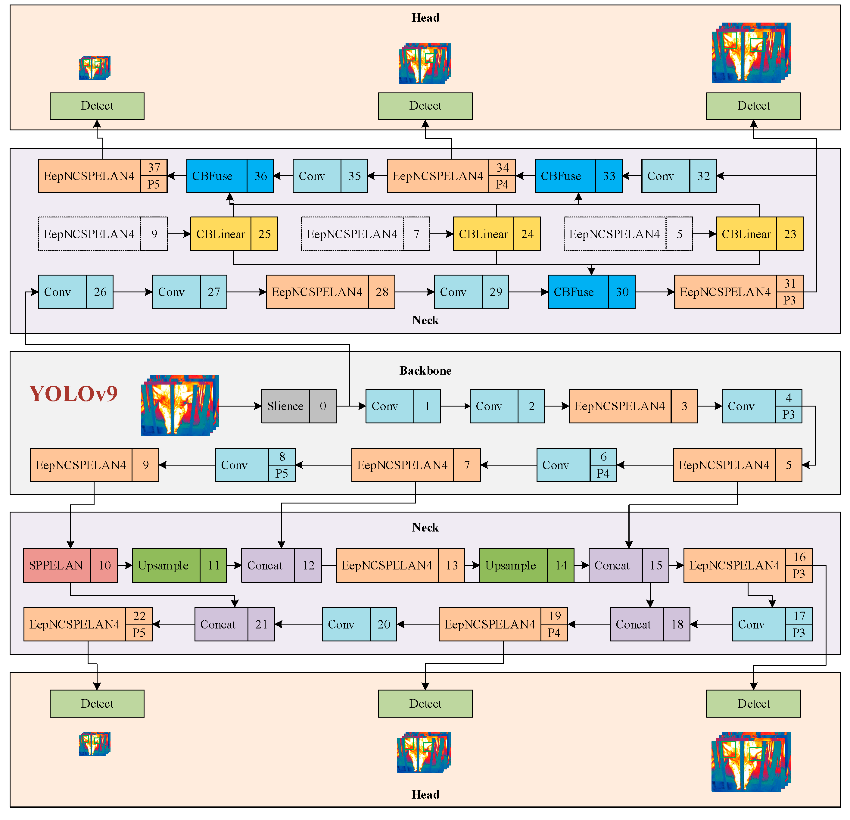 Animals 15 00041 g0a6