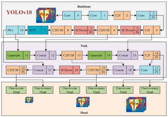 Animals 15 00041 g0a7