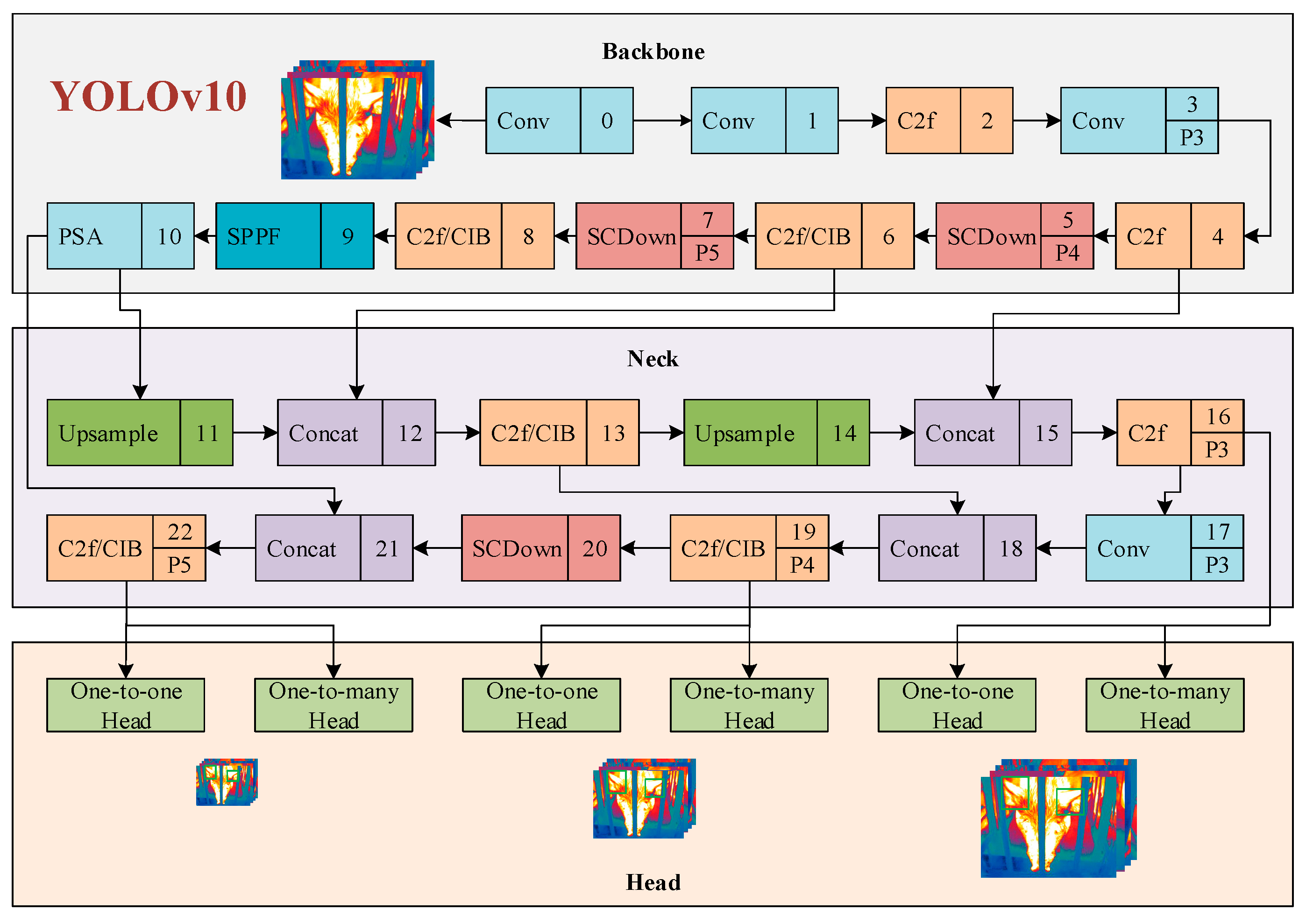 Animals 15 00041 g0a7