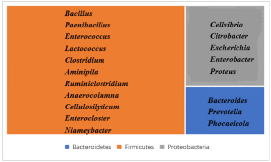 Animals 15 00057 g0a5