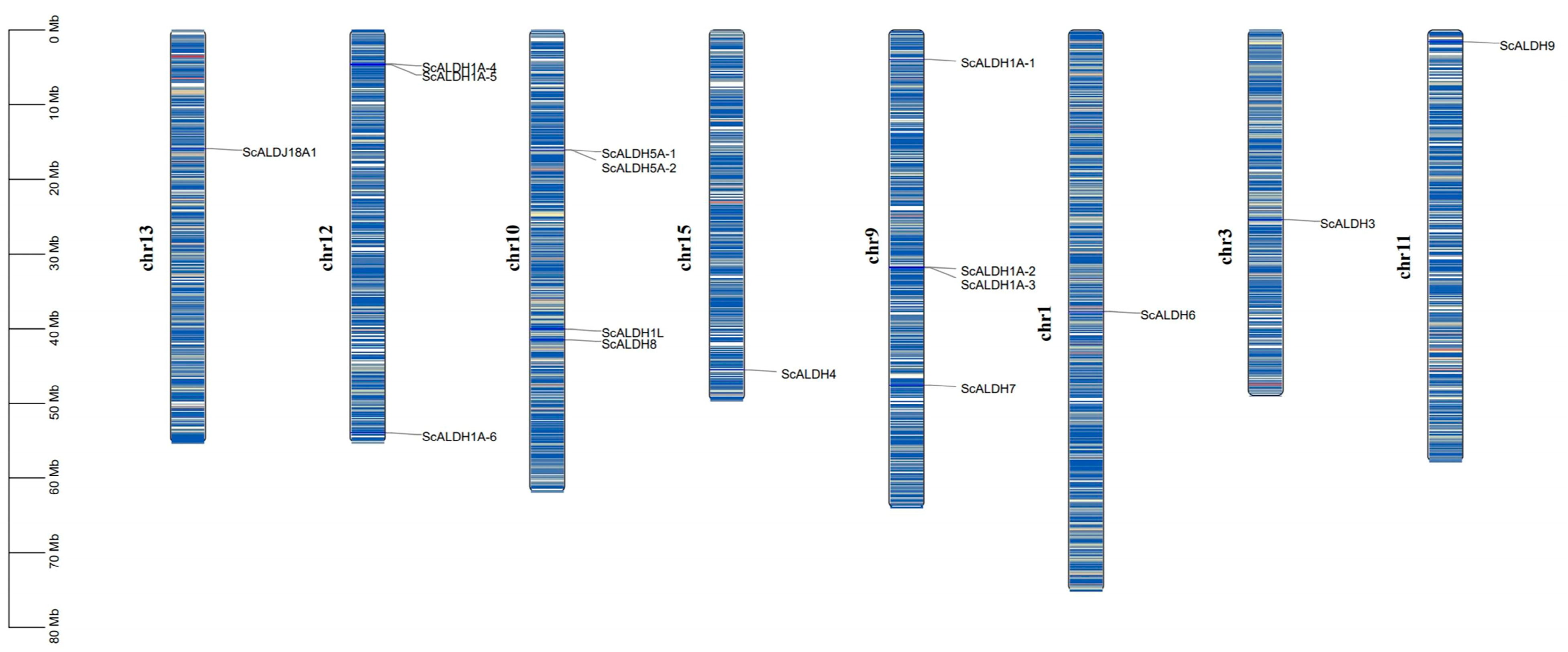 Animals 15 00064 g001