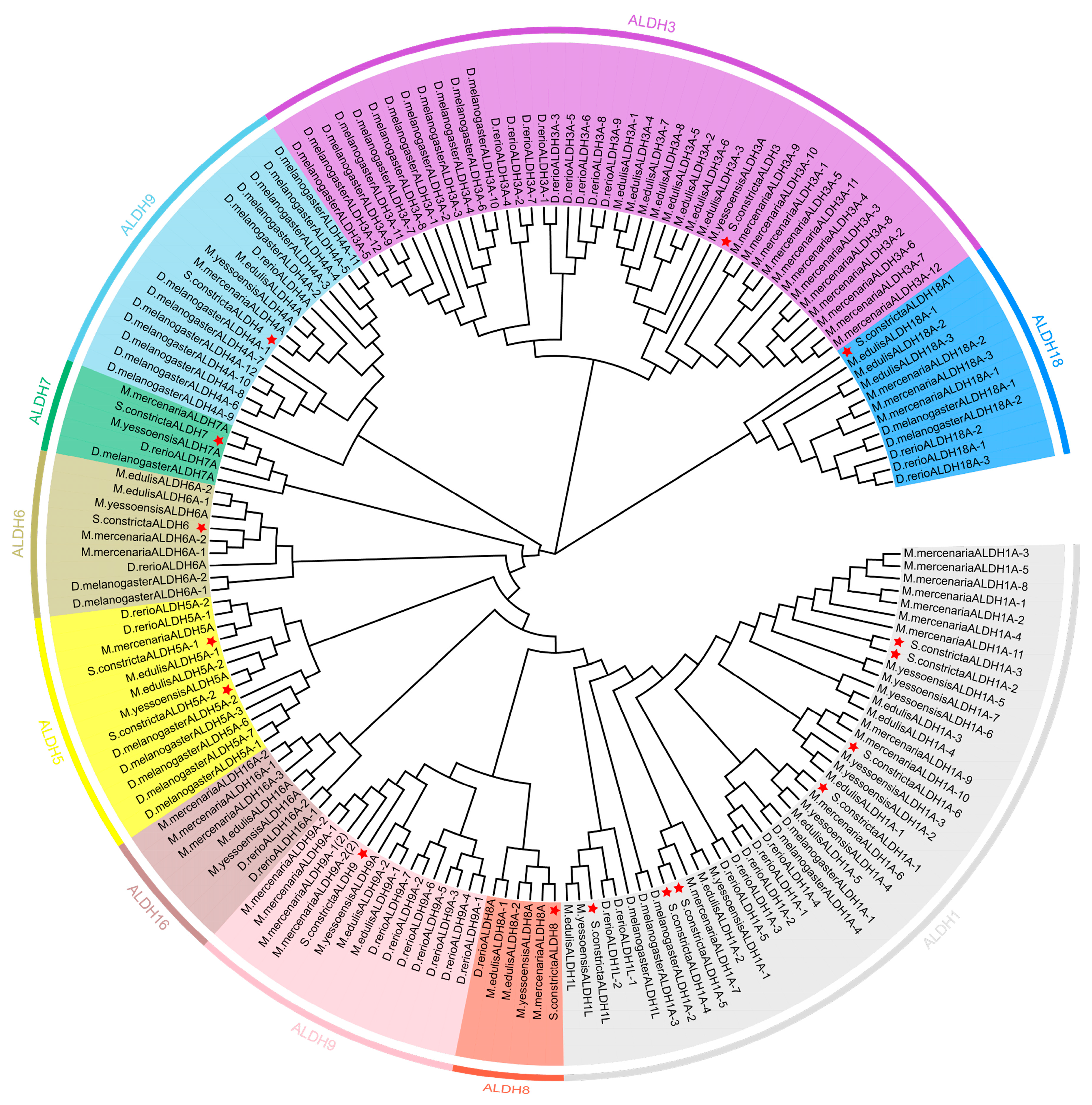Animals 15 00064 g002