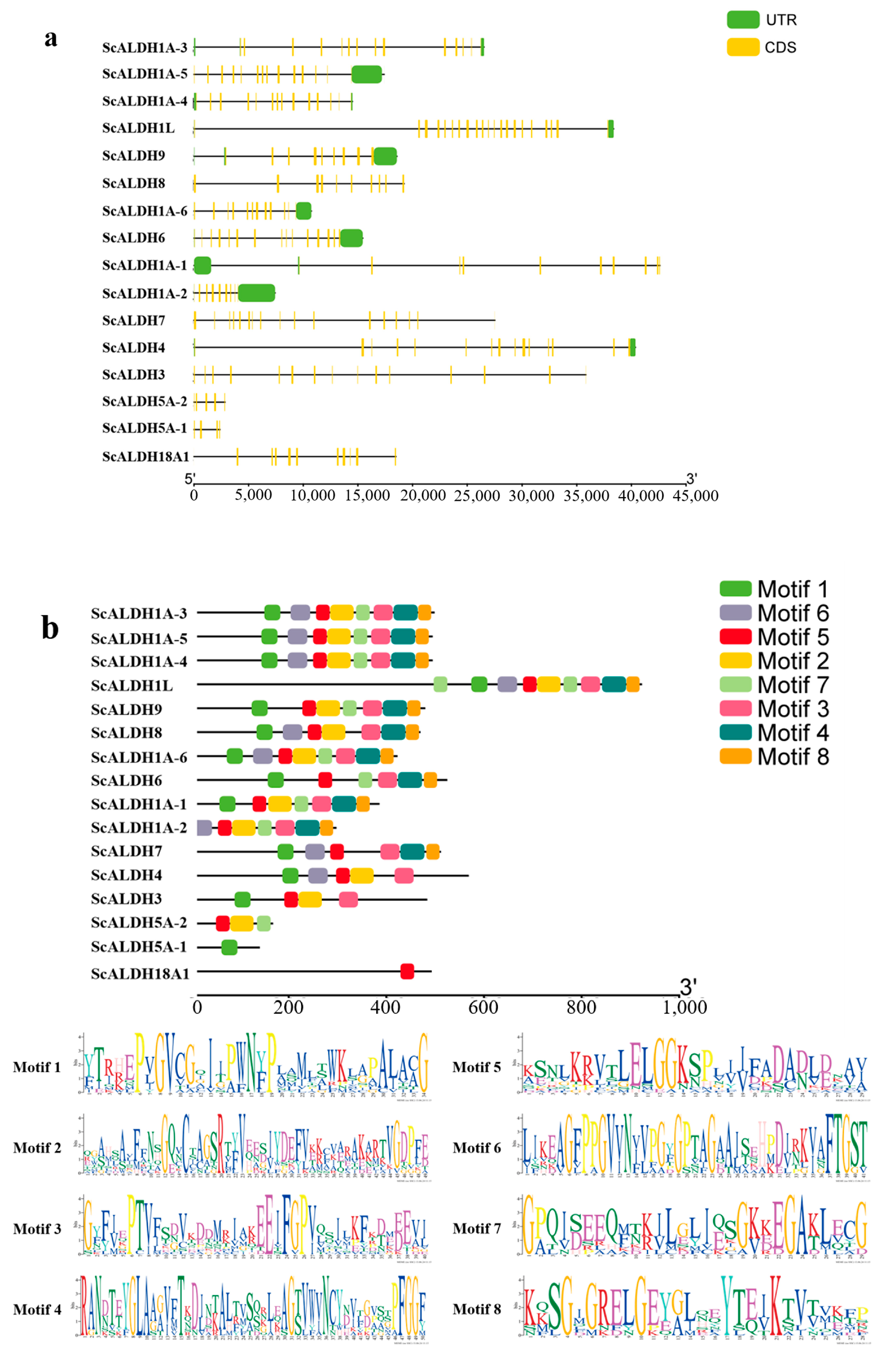 Animals 15 00064 g003a
