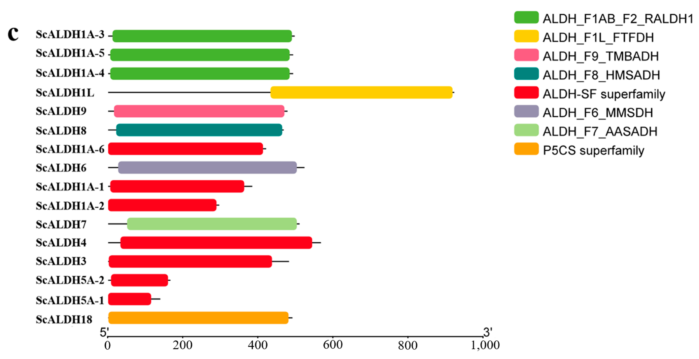 Animals 15 00064 g003b
