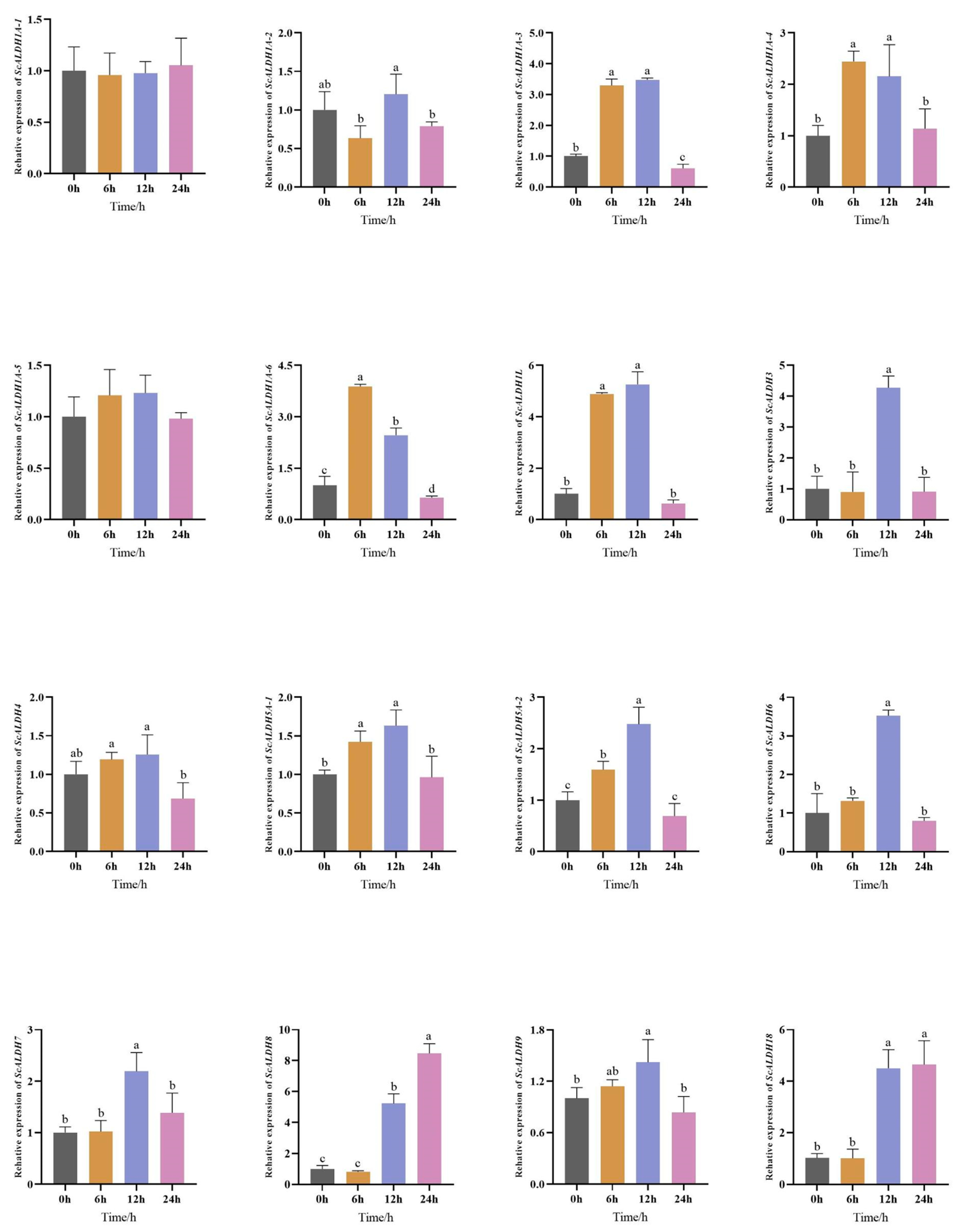 Animals 15 00064 g004