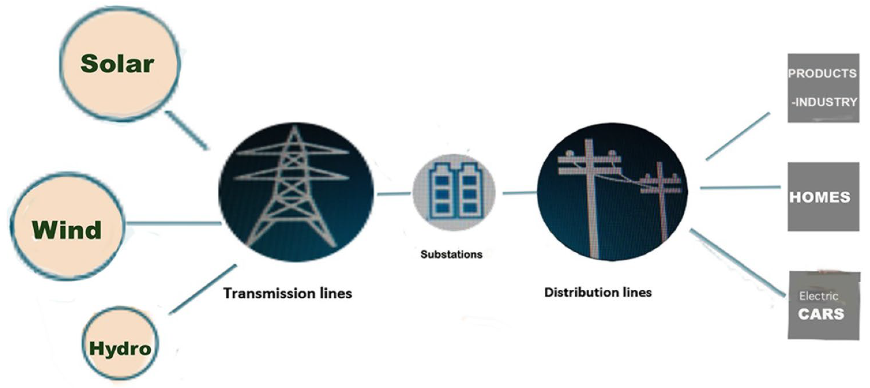 Animals 15 00073 g003