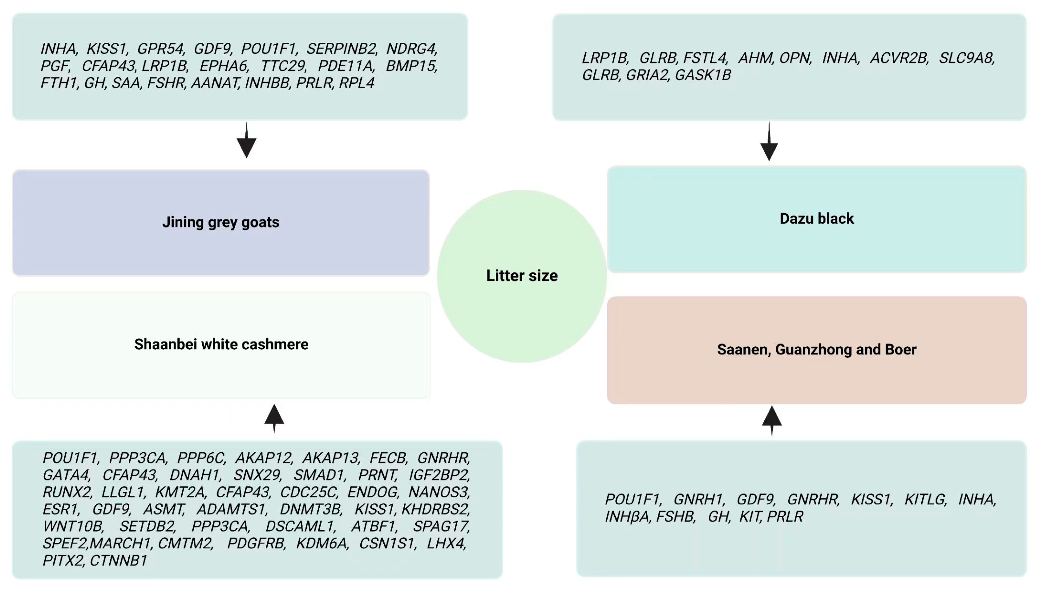 Animals 15 00082 g001