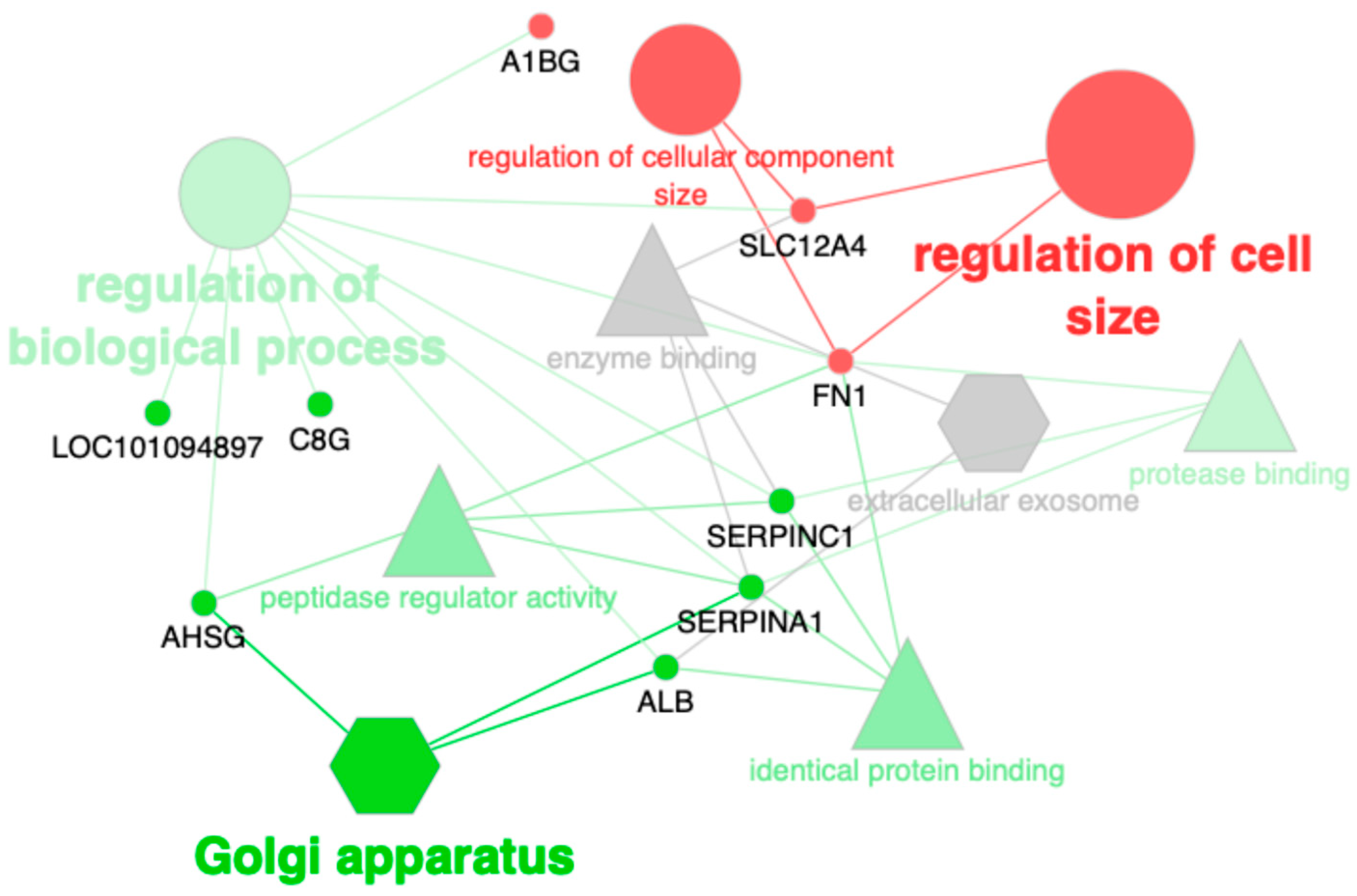 Animals 15 00091 g001