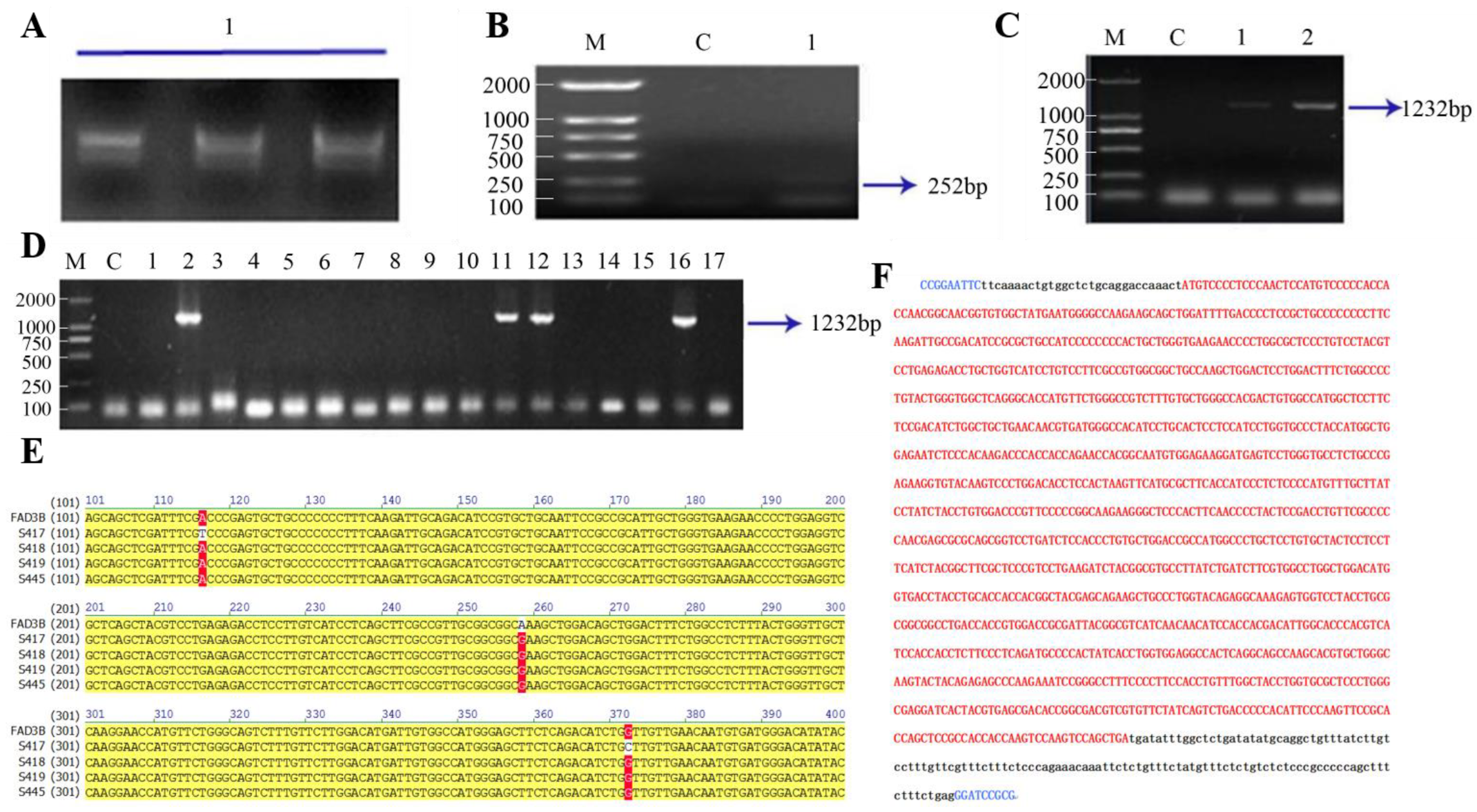 Animals 15 00093 g001