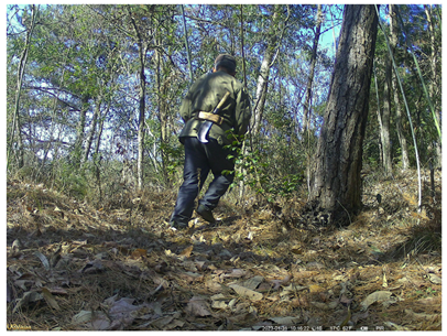 Animals 15 00095 i001