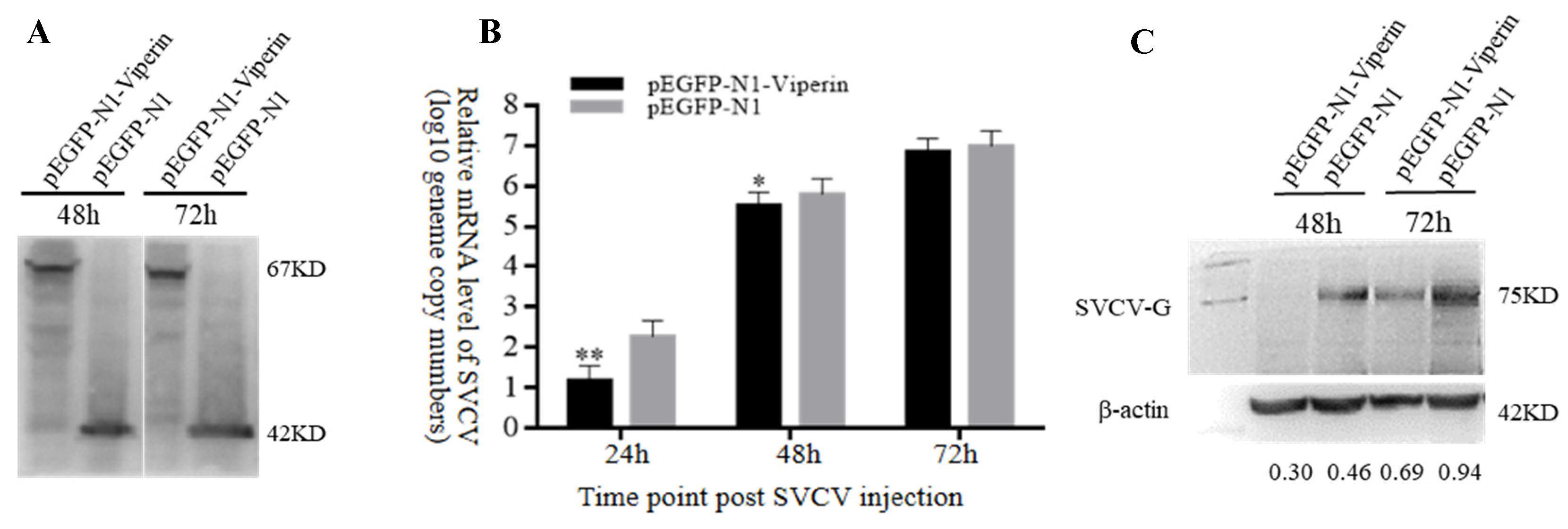 Animals 15 00096 g005