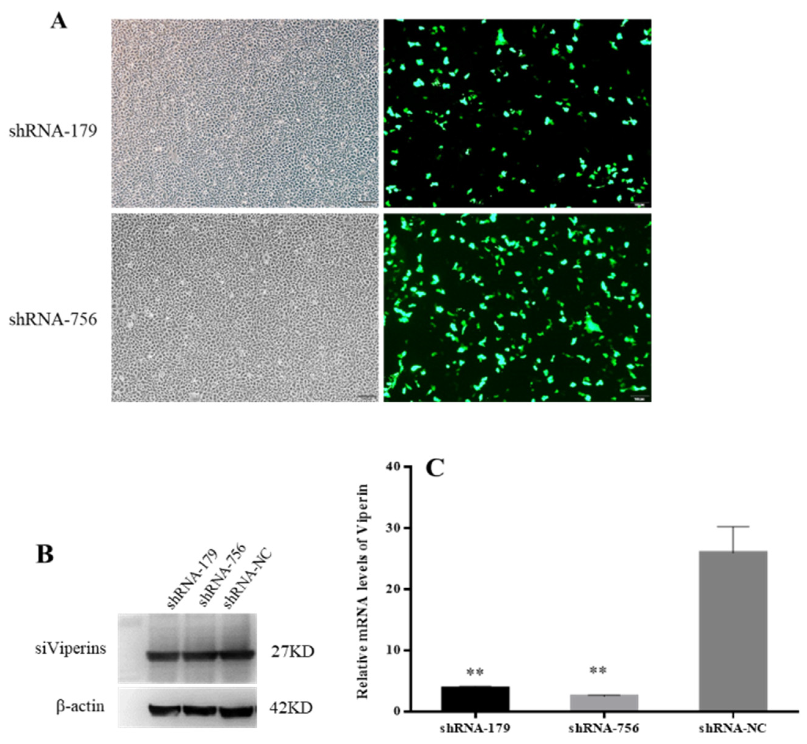 Animals 15 00096 g006