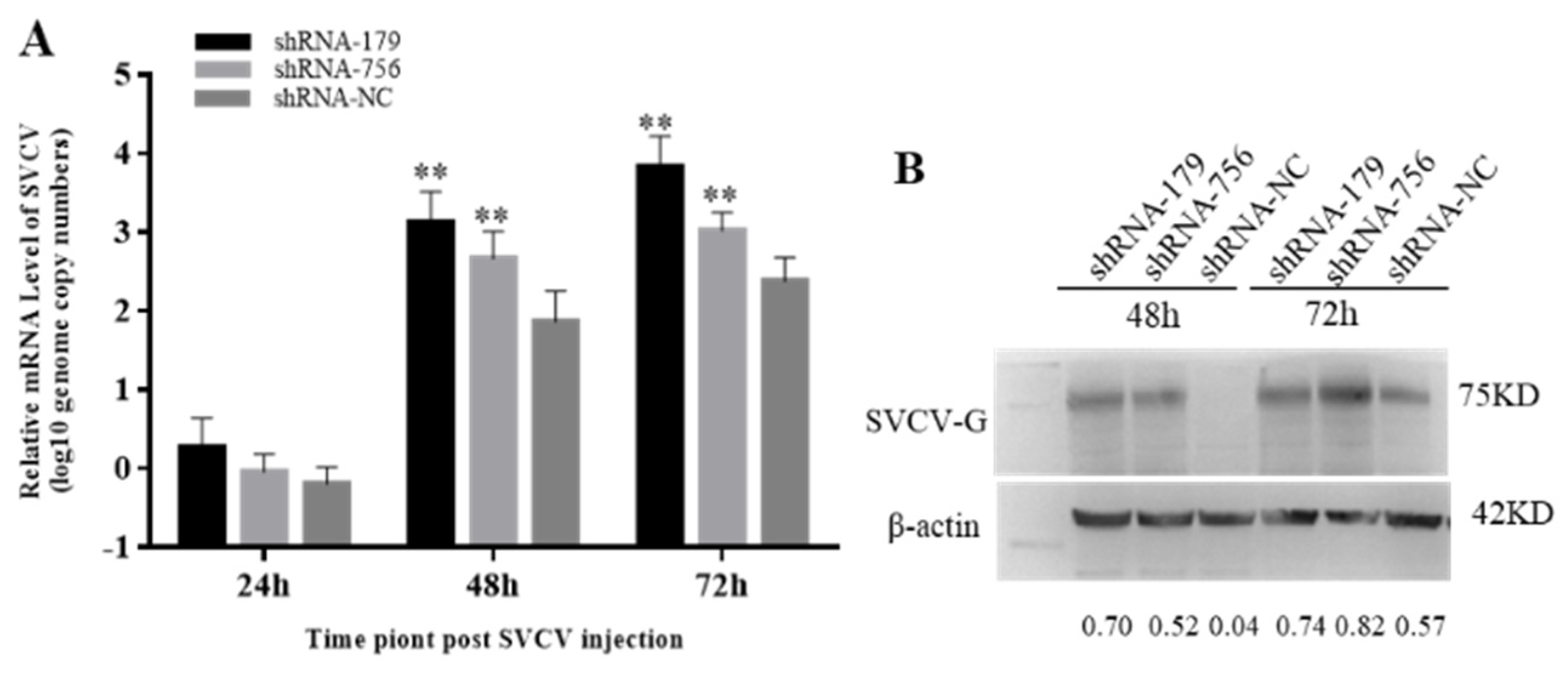 Animals 15 00096 g007