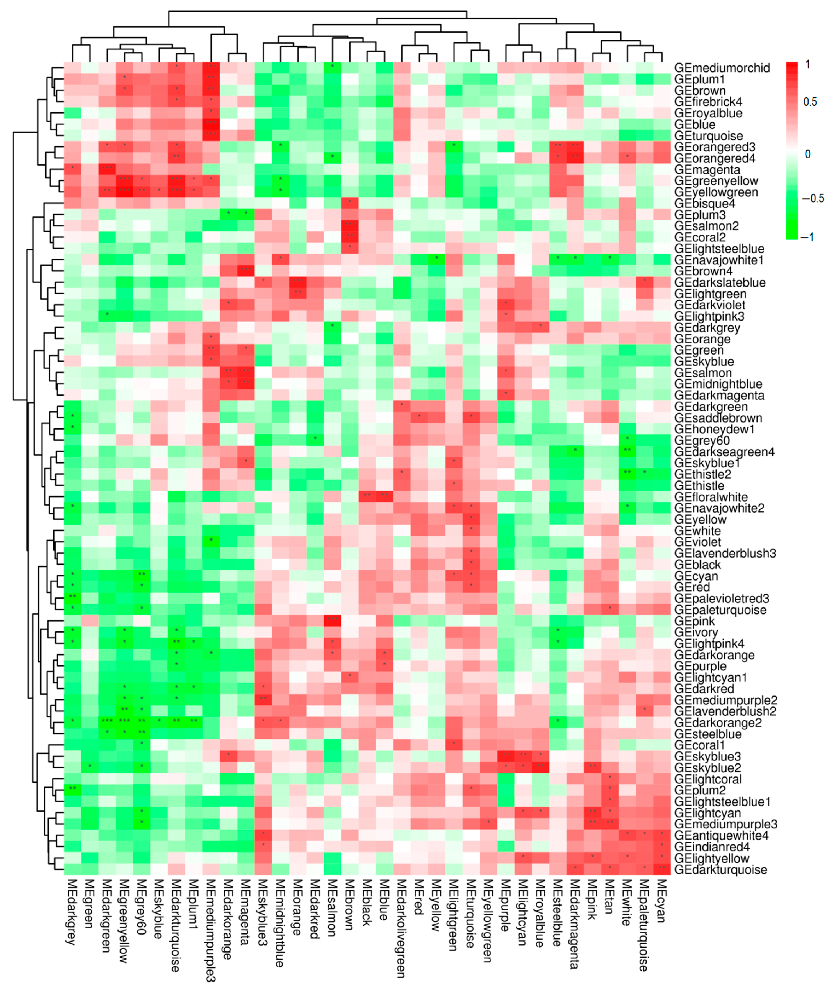 Animals 15 00141 g007