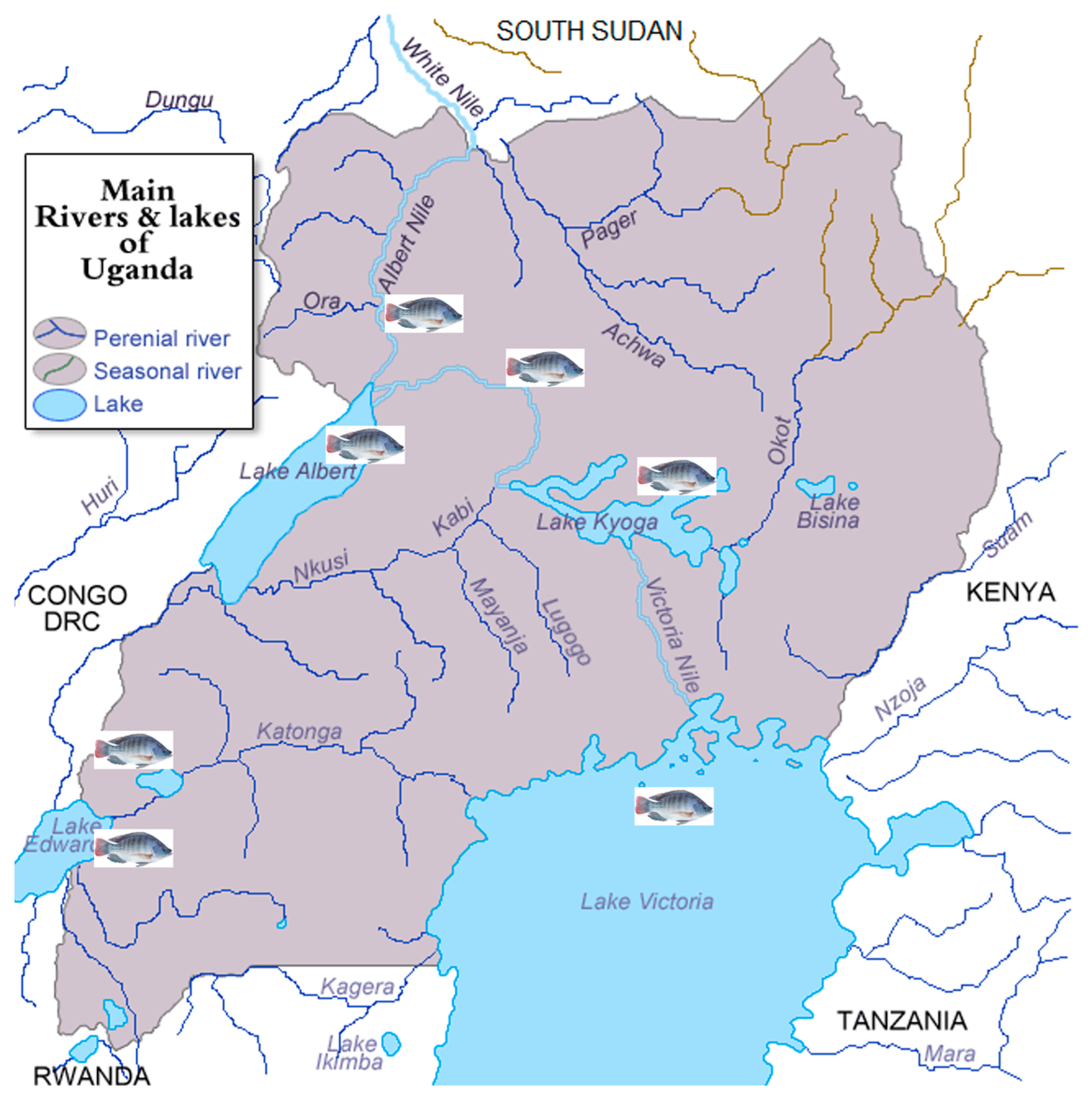 Animals 15 00142 g005