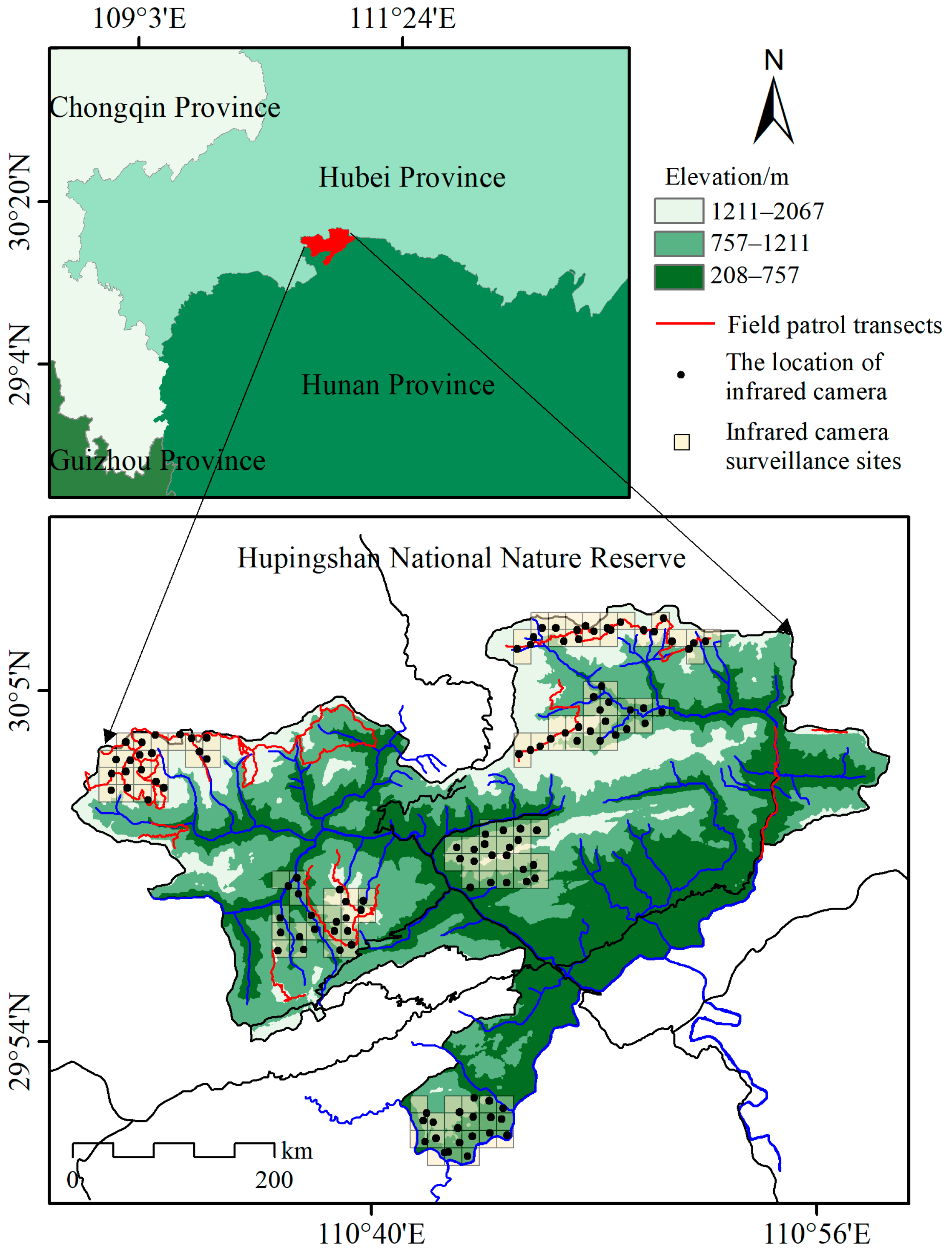 Animals 15 00160 g001