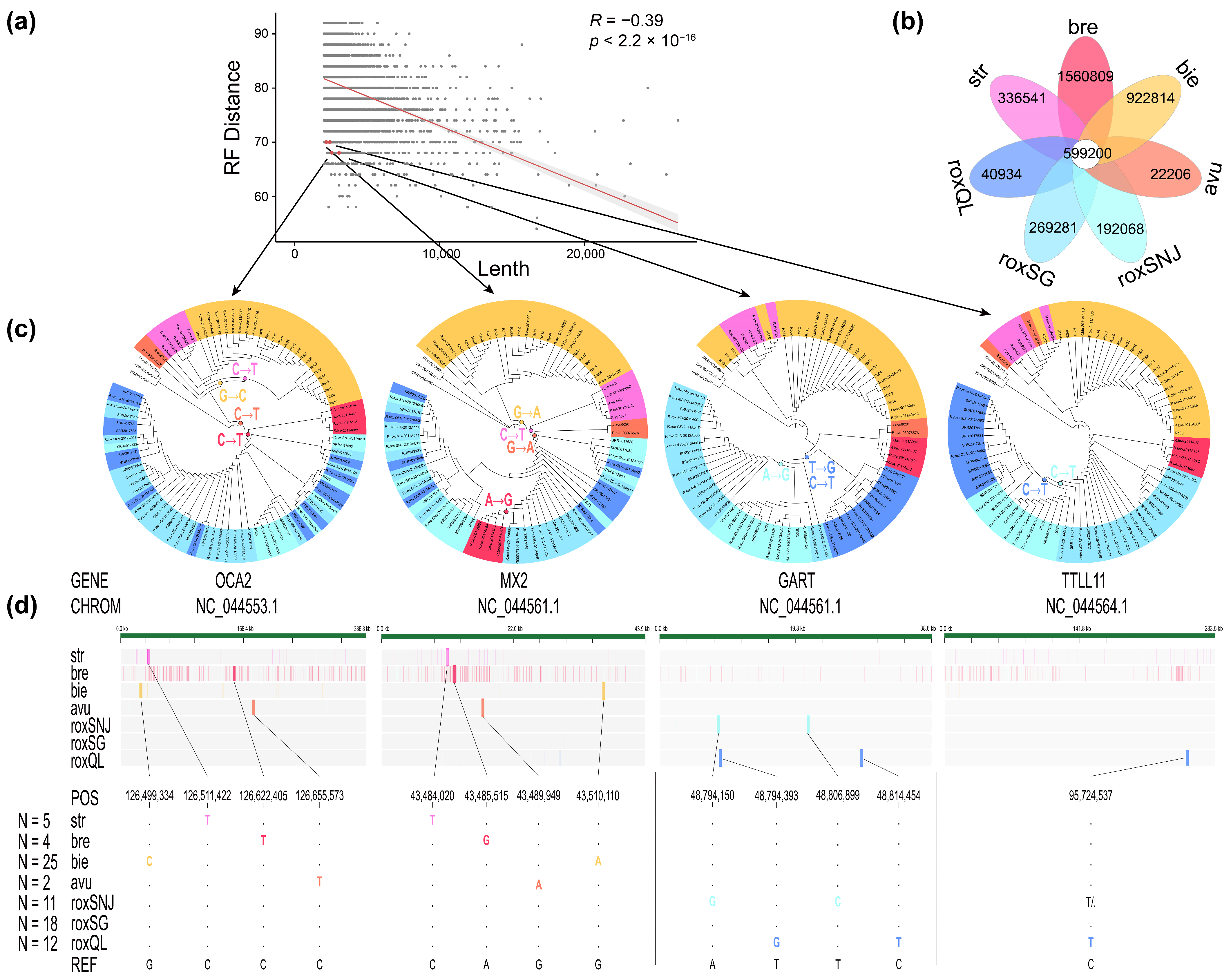 Animals 15 00174 g003