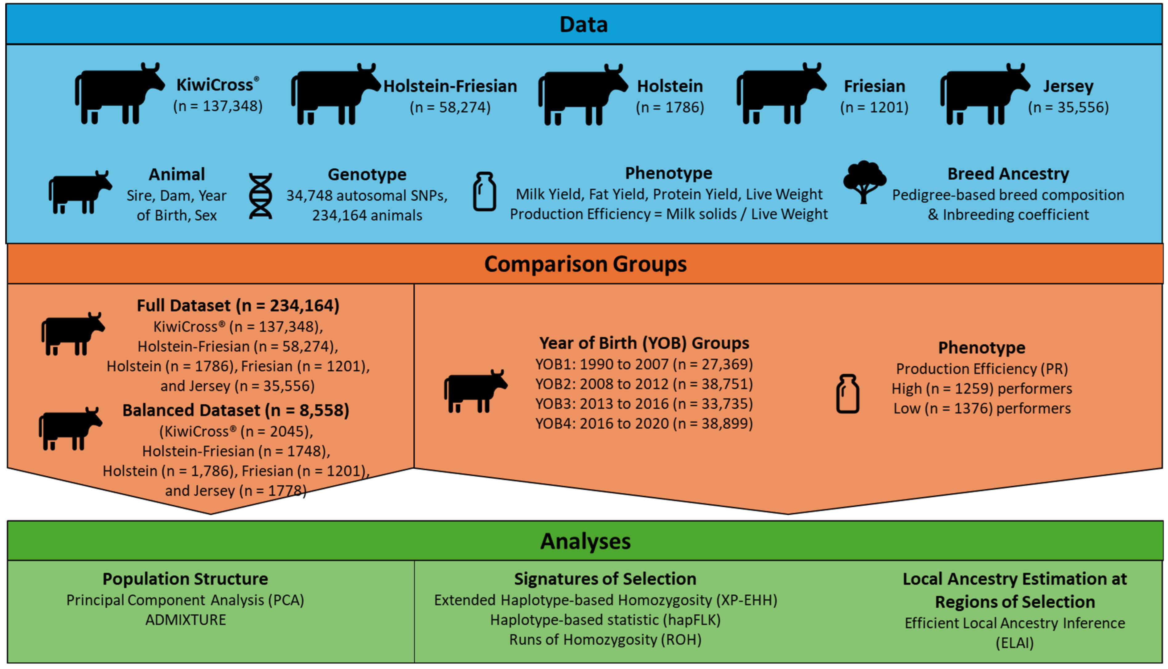 Animals 15 00175 g001 Animals 15 00175 g001
