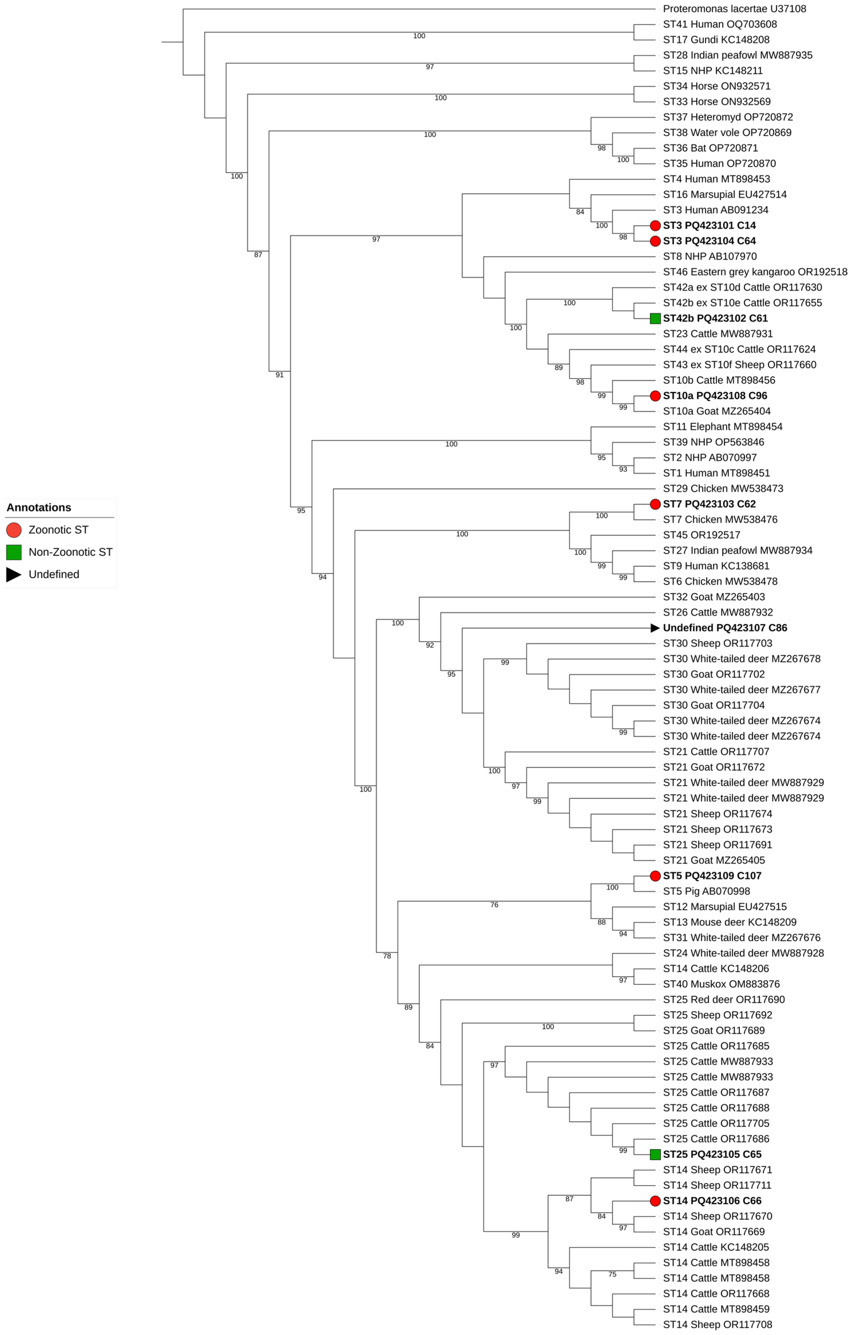 Animals 15 00186 g002
