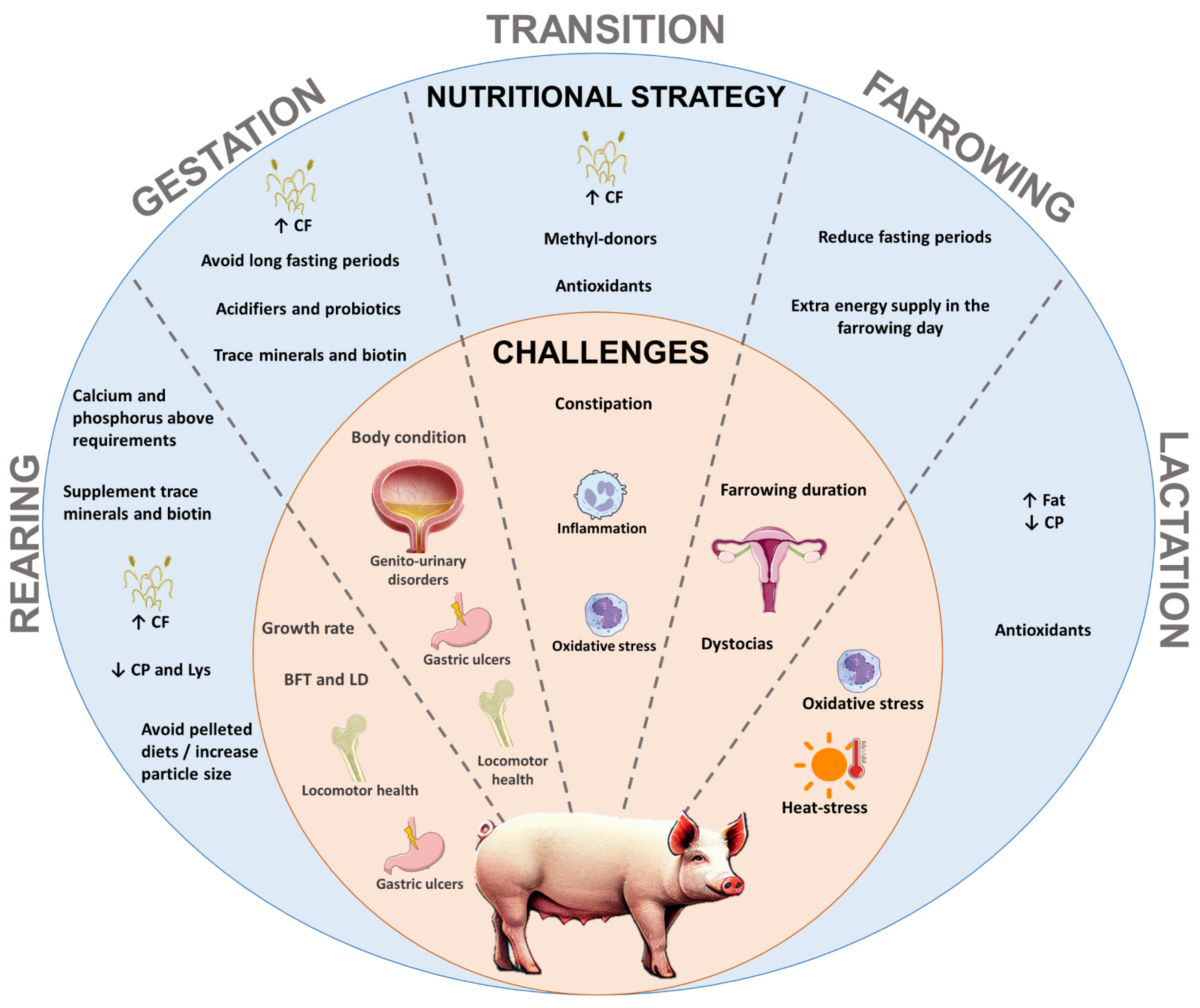 Animals 15 00189 g001 Animals 15 00189 g001