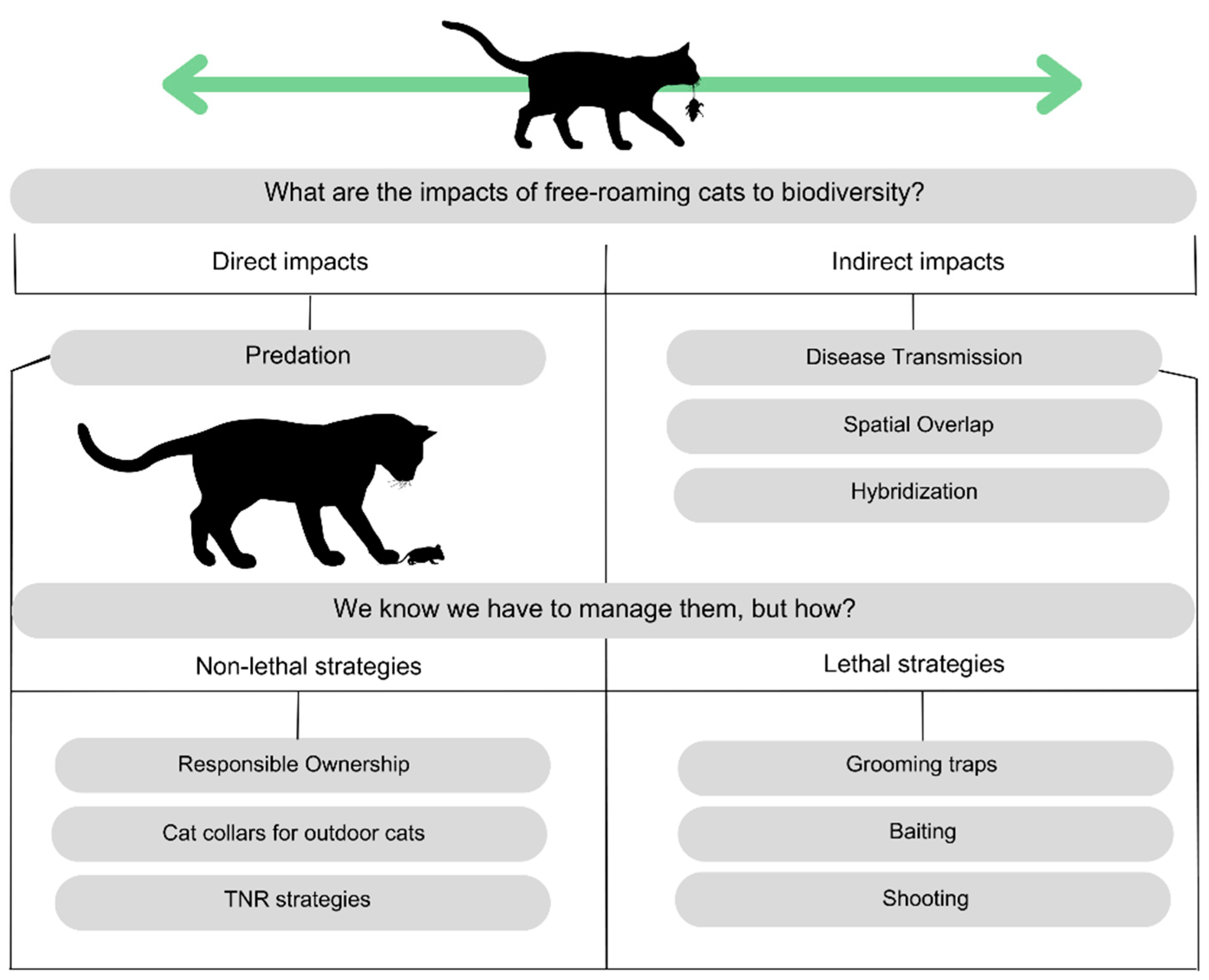 Animals 15 00190 g003 Animals 15 00190 g003
