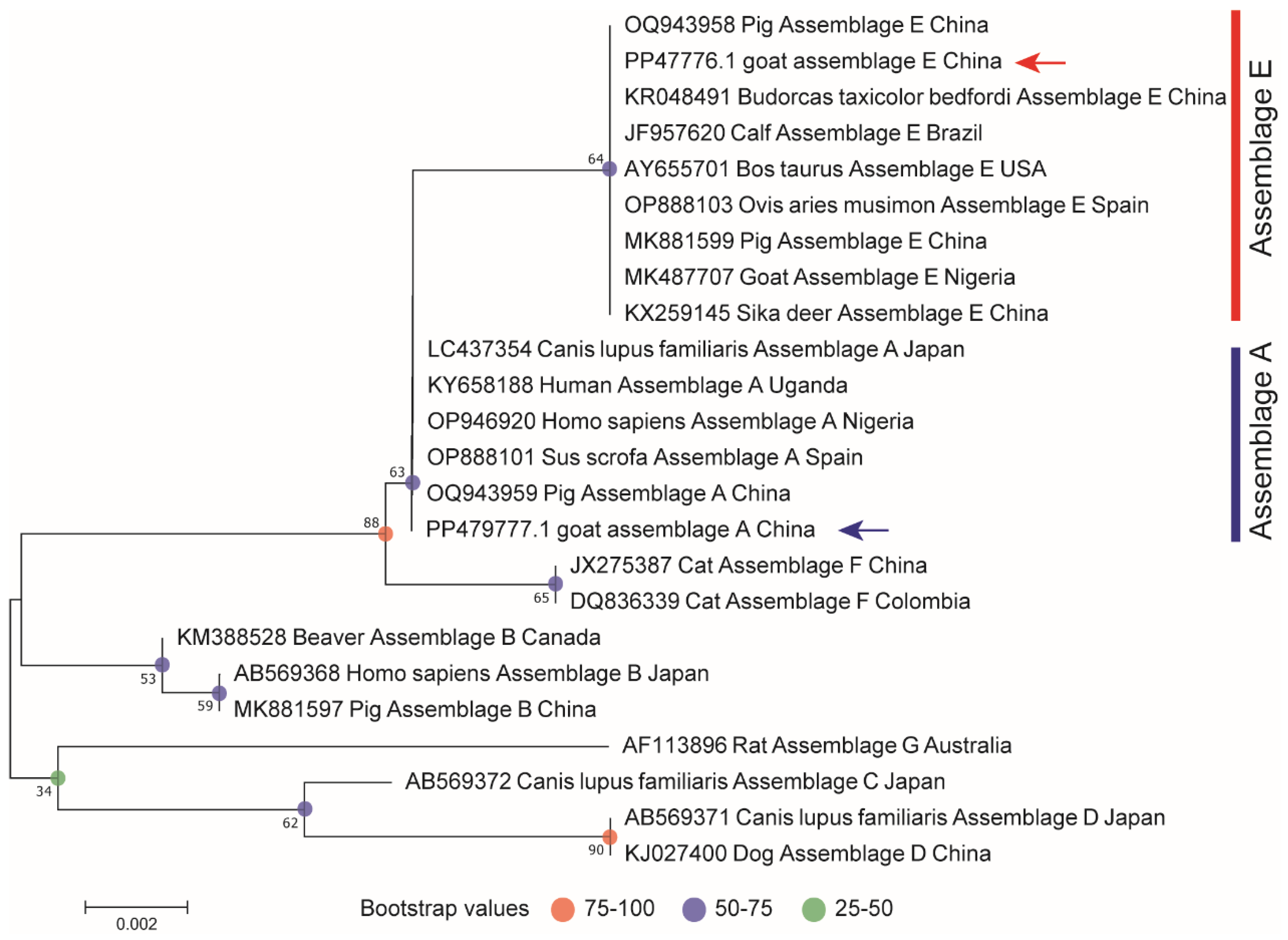 Animals 15 00199 g002