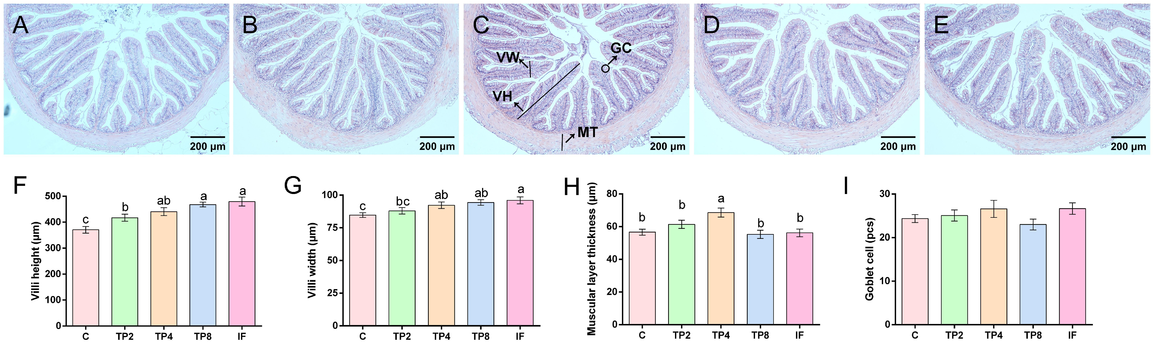 Animals 15 00222 g003
