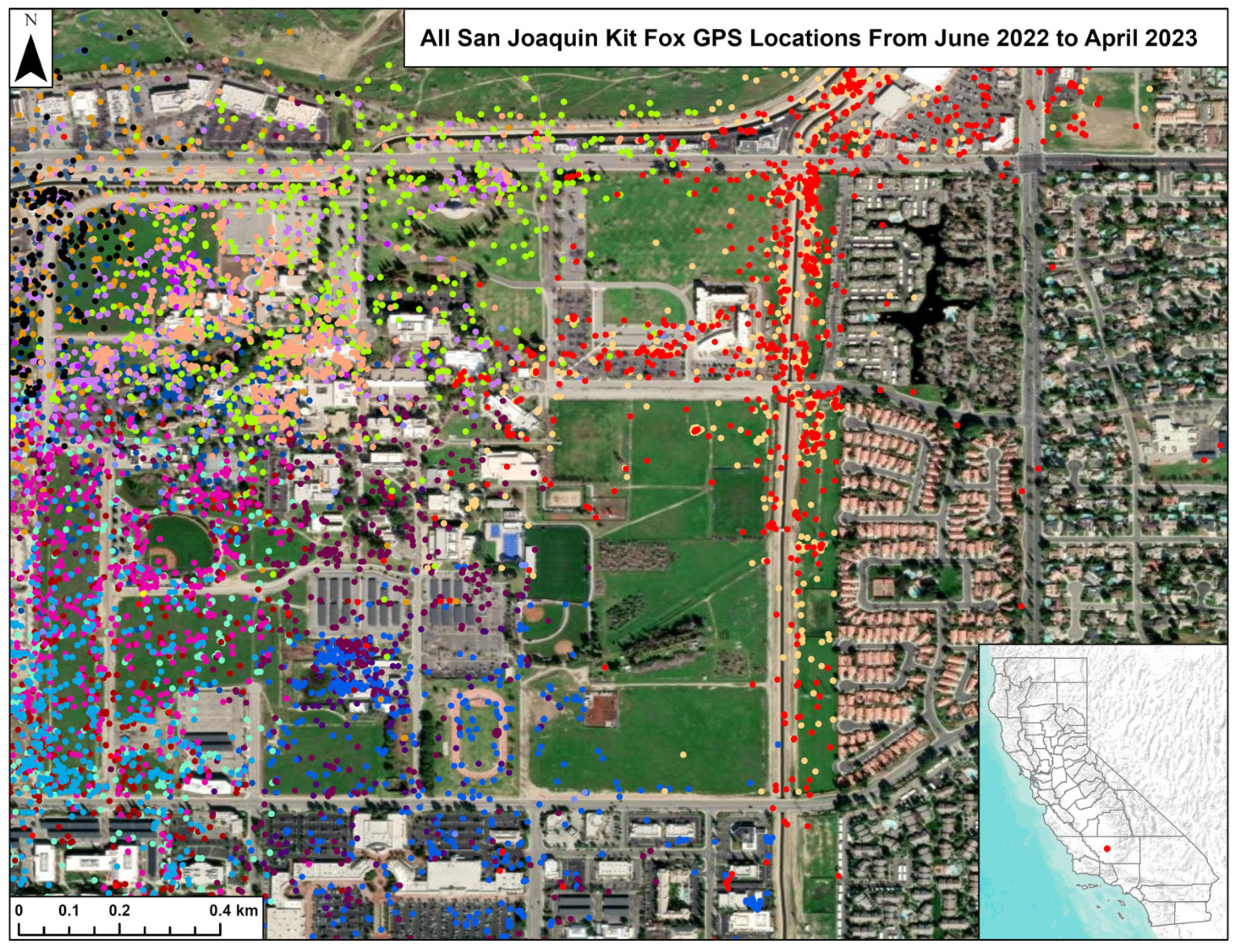 Animals 15 00239 g007